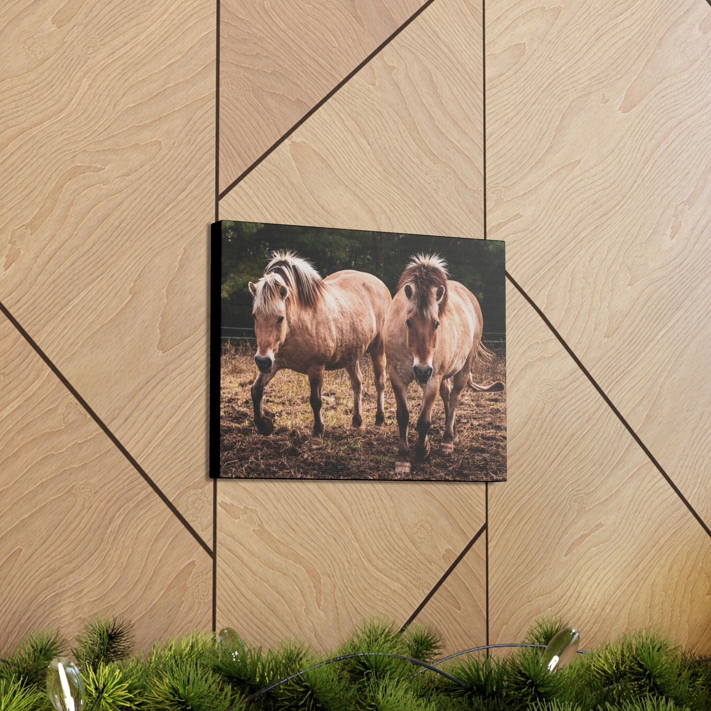 Canvas Gallery Wrap - Cody and Cheyenne - Photo