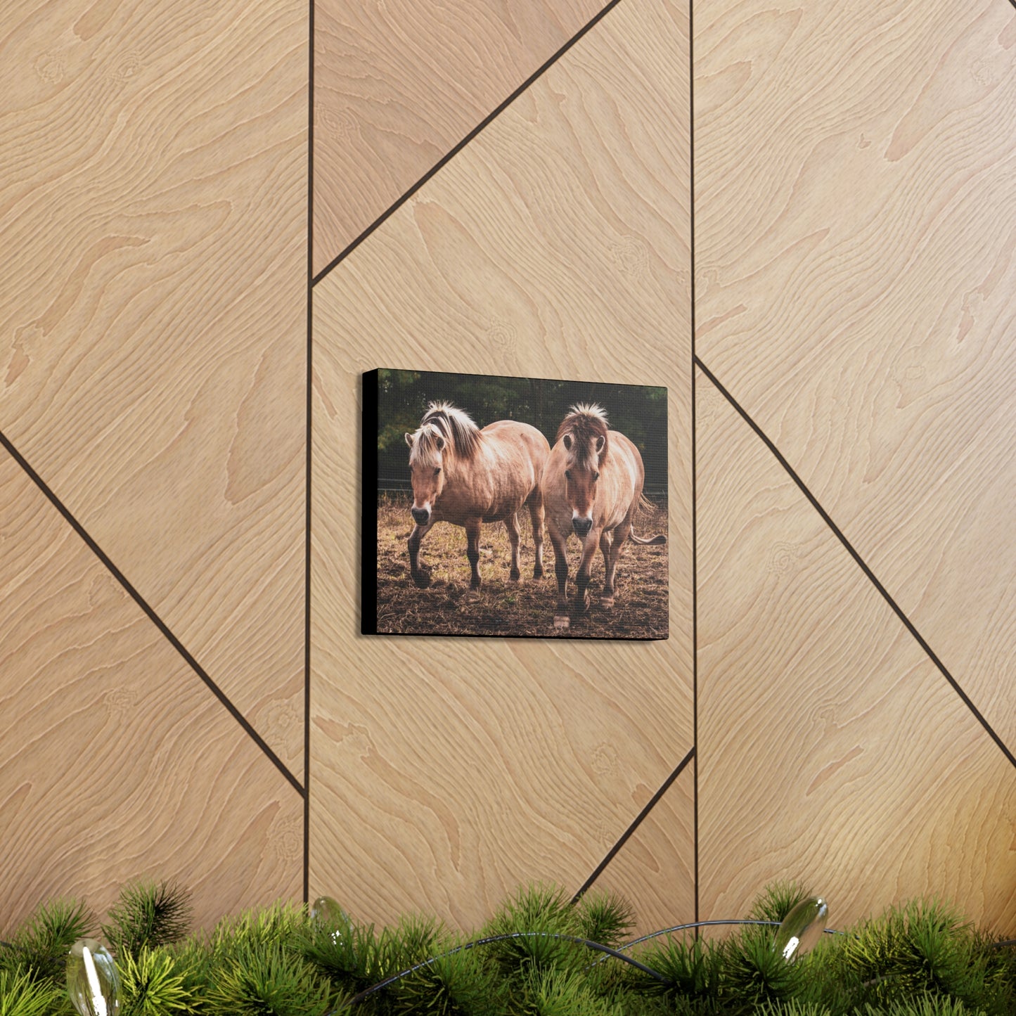 Canvas Gallery Wrap - Cody and Cheyenne - Photo