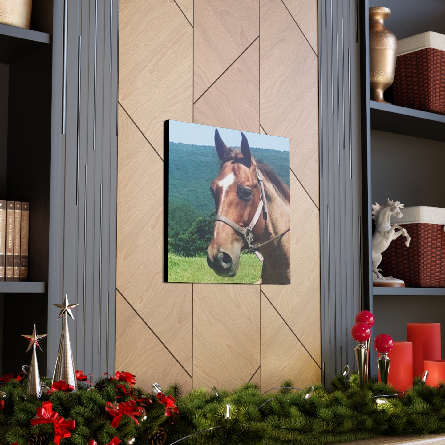 Canvas Gallery Wrap - Thor - Photo