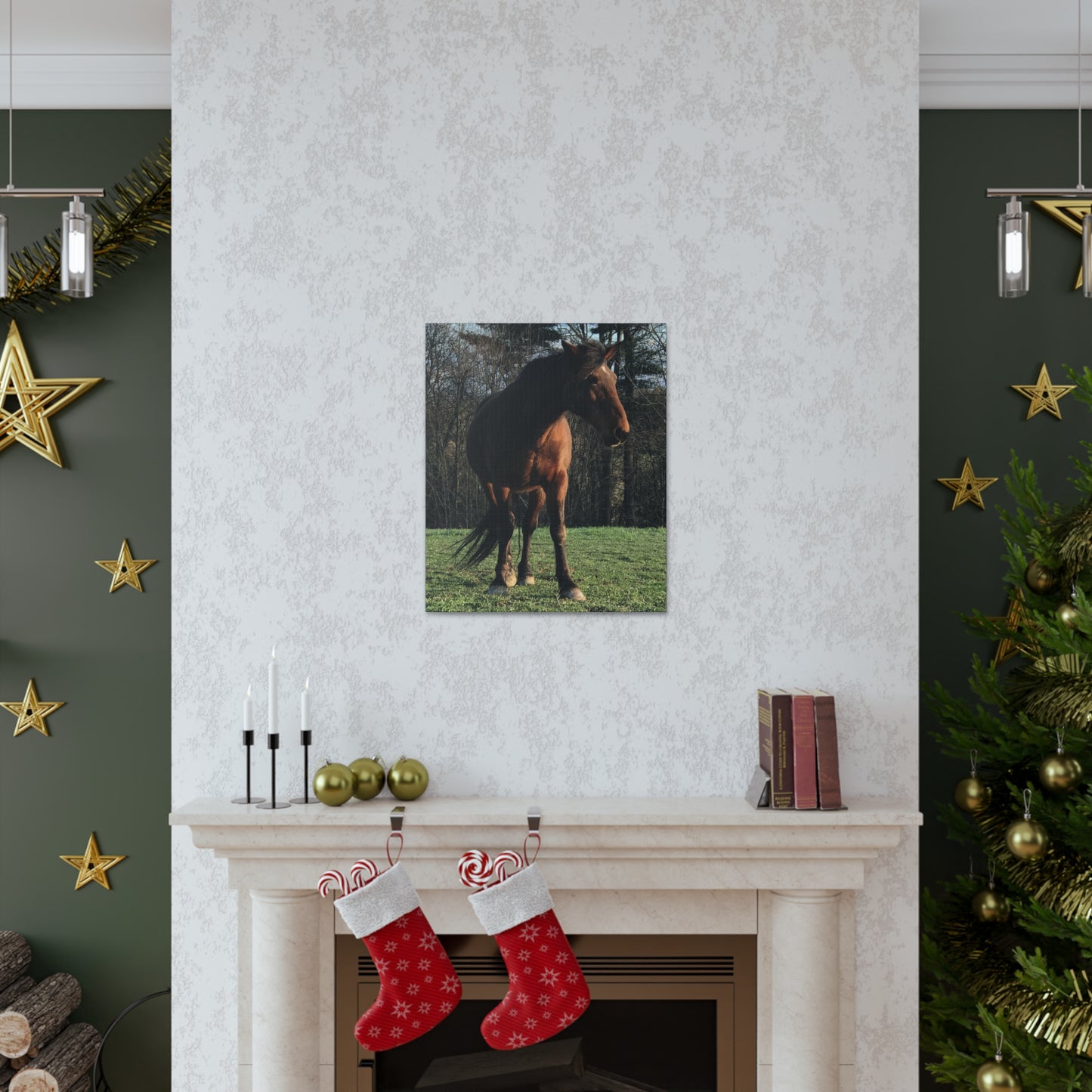 Canvas Gallery Wrap - Kiowa - Photo