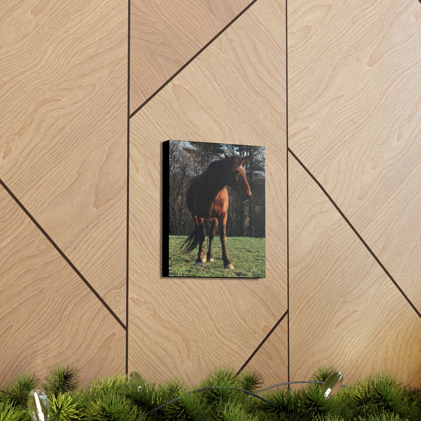 Canvas Gallery Wrap - Kiowa - Photo
