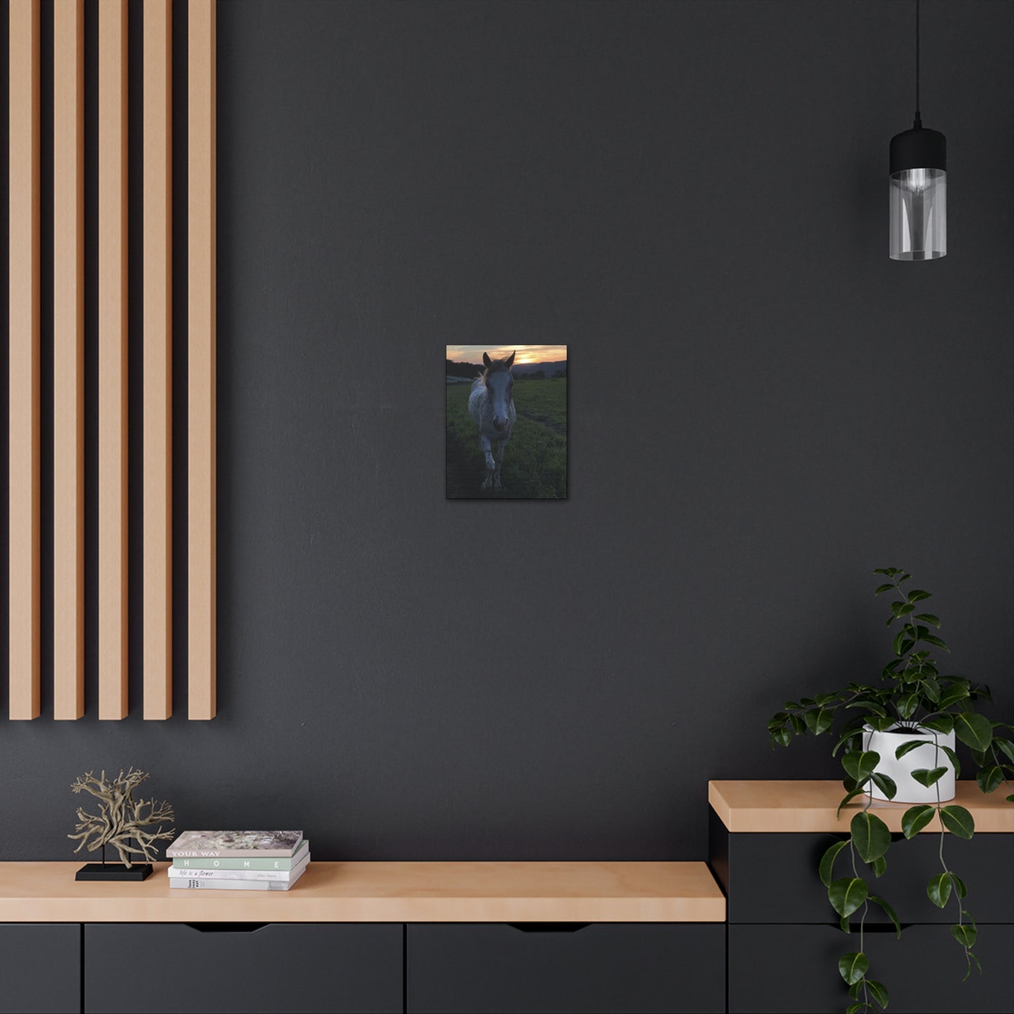 Canvas Gallery Wrap - Cochise - Photo