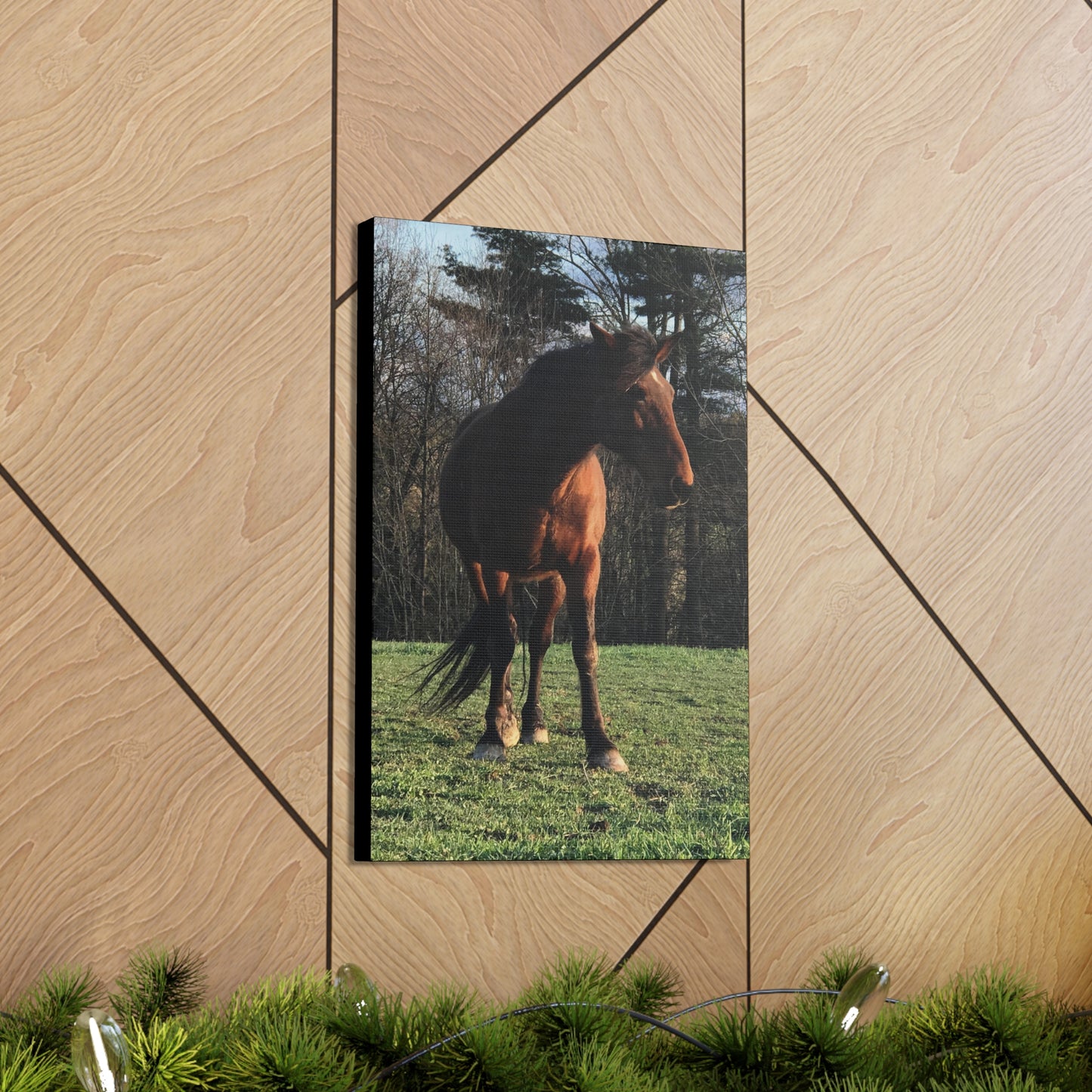 Canvas Gallery Wrap - Kiowa - Photo