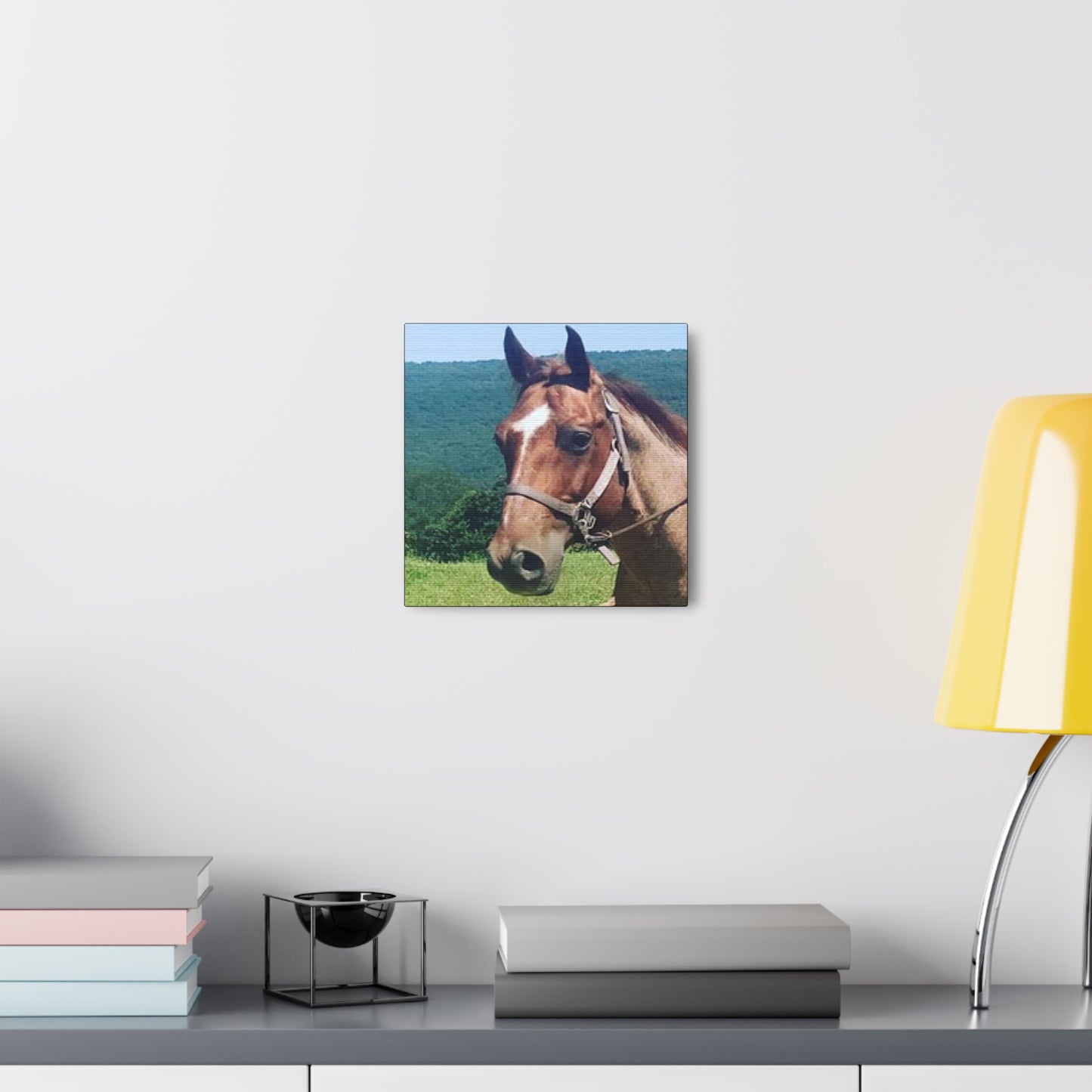 Canvas Gallery Wrap - Thor - Photo