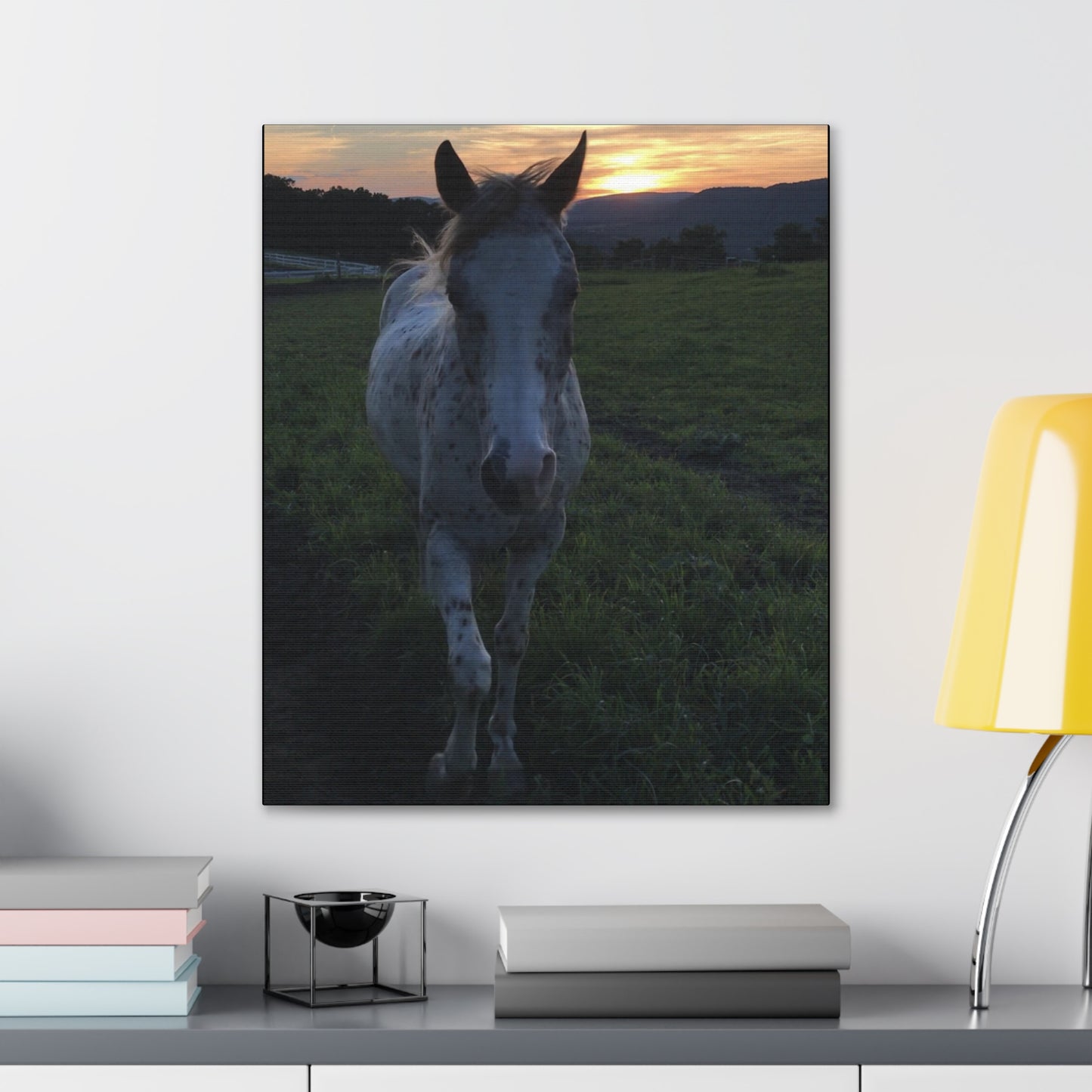 Canvas Gallery Wrap - Cochise - Photo