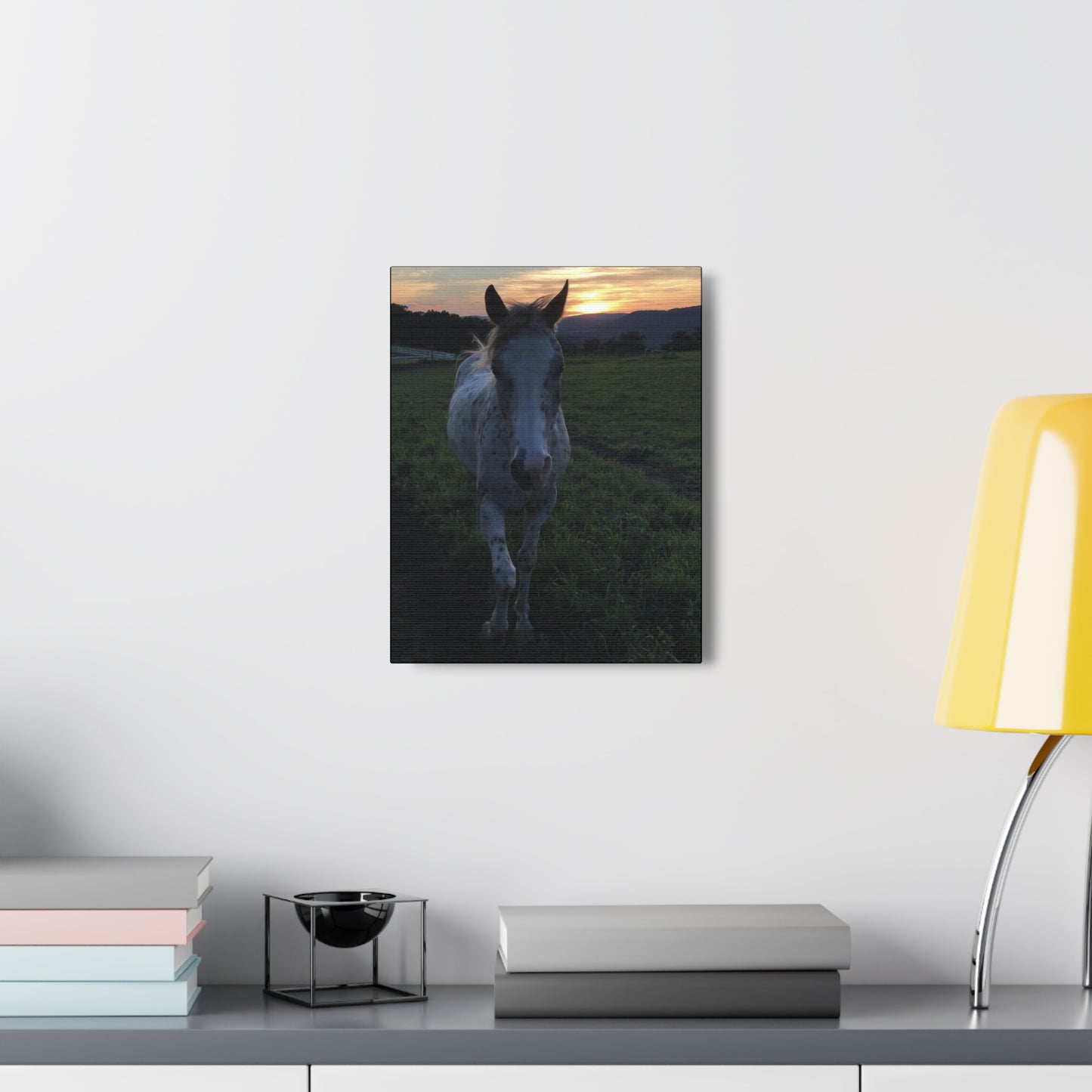 Canvas Gallery Wrap - Cochise - Photo