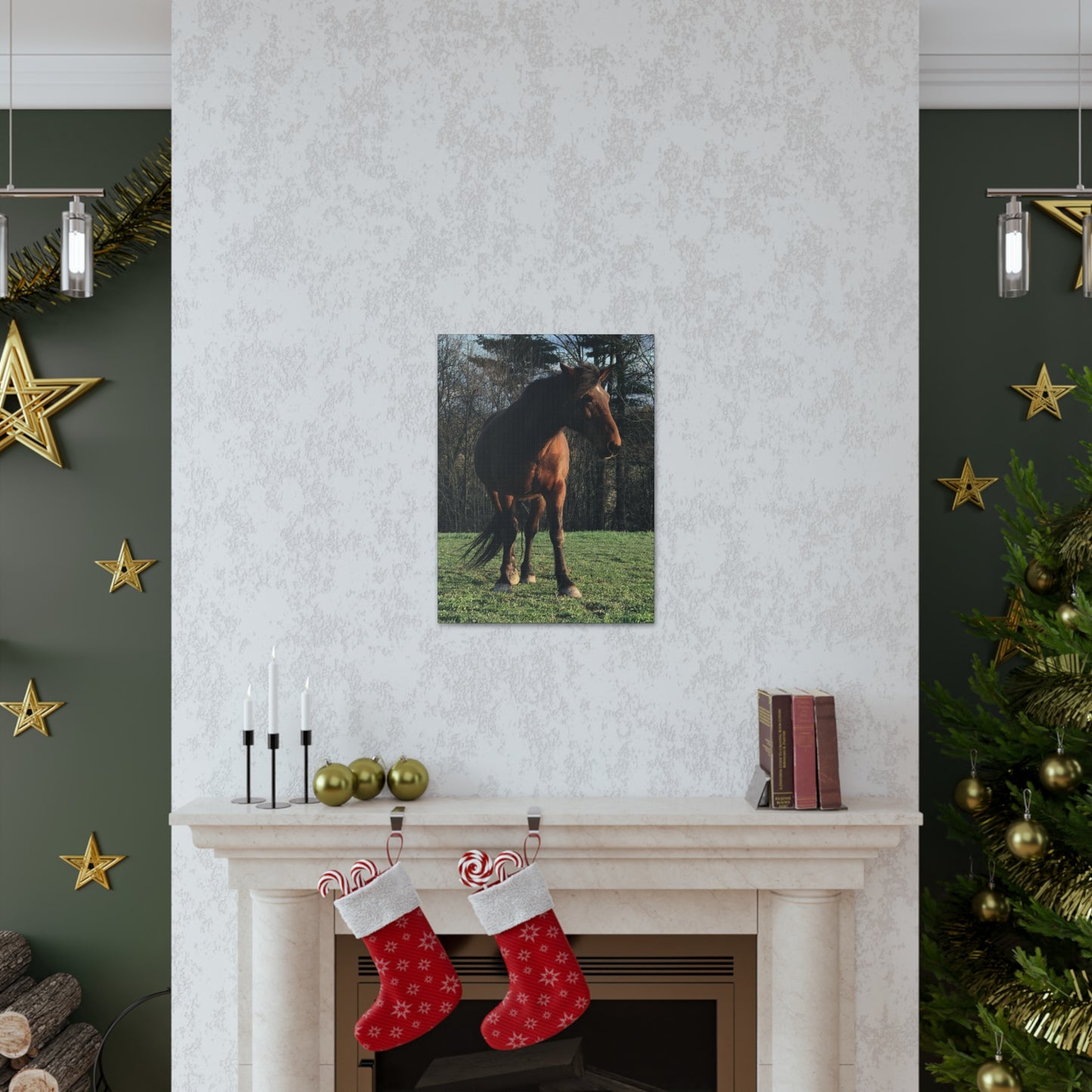 Canvas Gallery Wrap - Kiowa - Photo