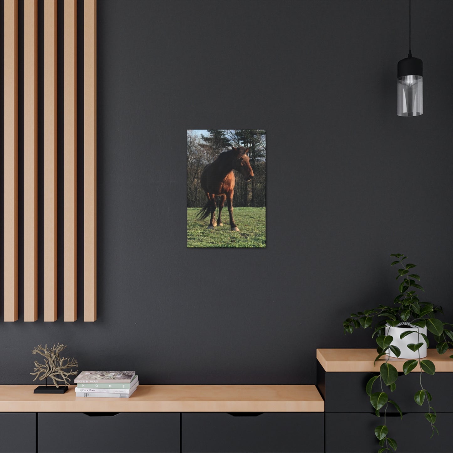 Canvas Gallery Wrap - Kiowa - Photo