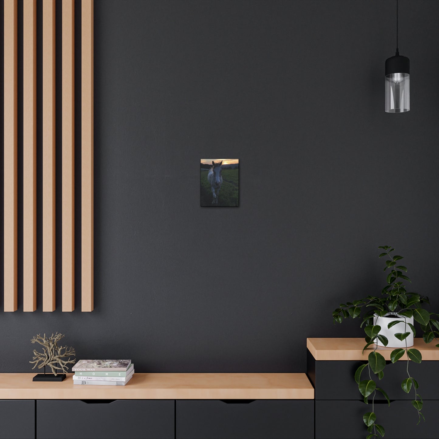 Canvas Gallery Wrap - Cochise - Photo