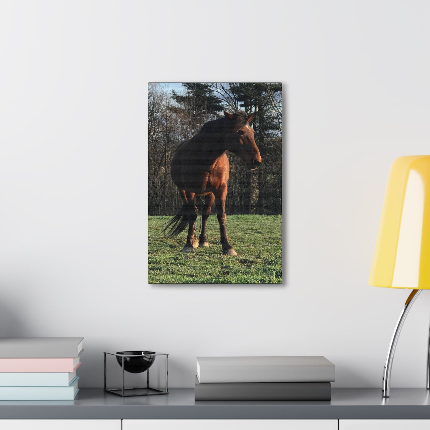 Canvas Gallery Wrap - Kiowa - Photo