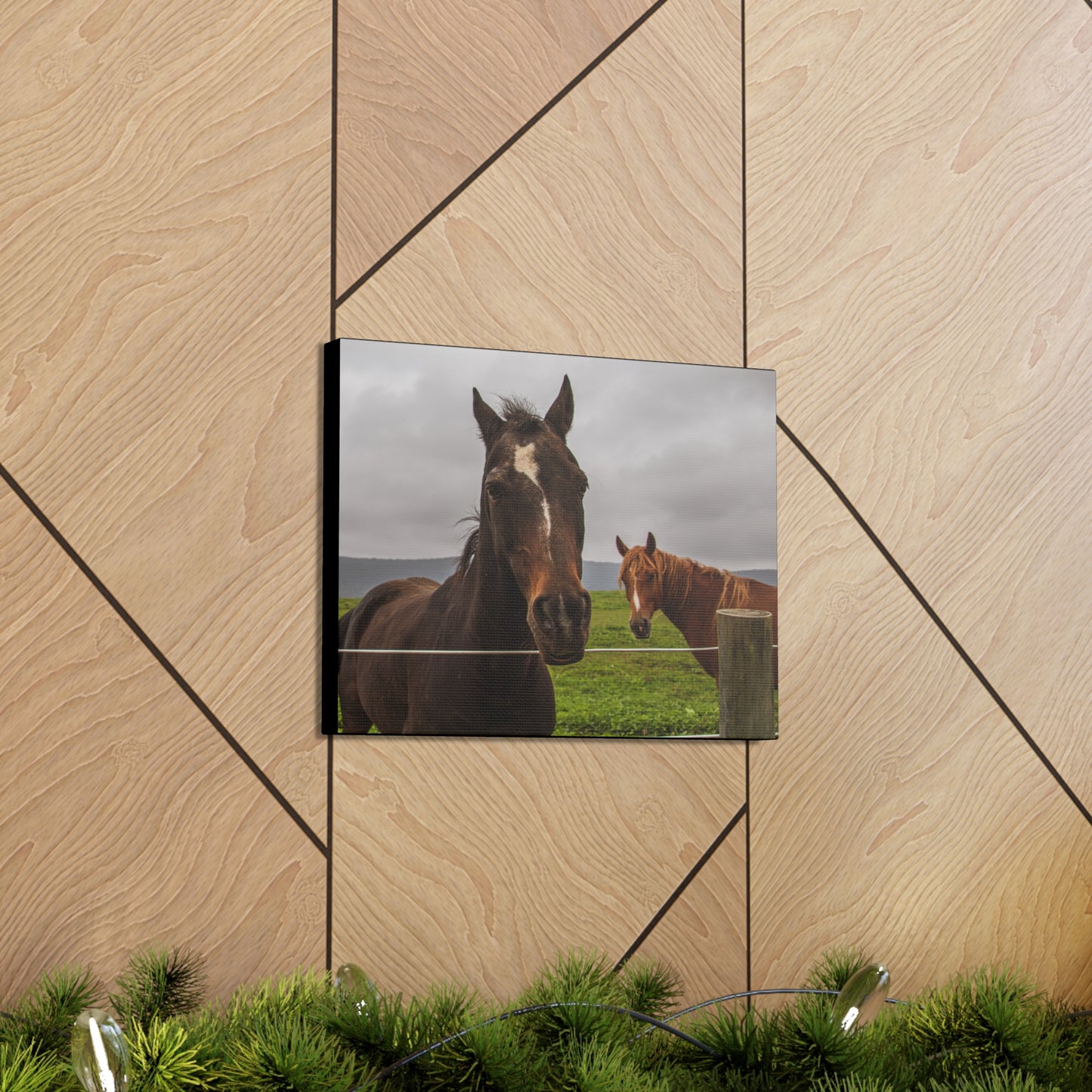 Canvas Gallery Wrap - Denali and Takota - Photo