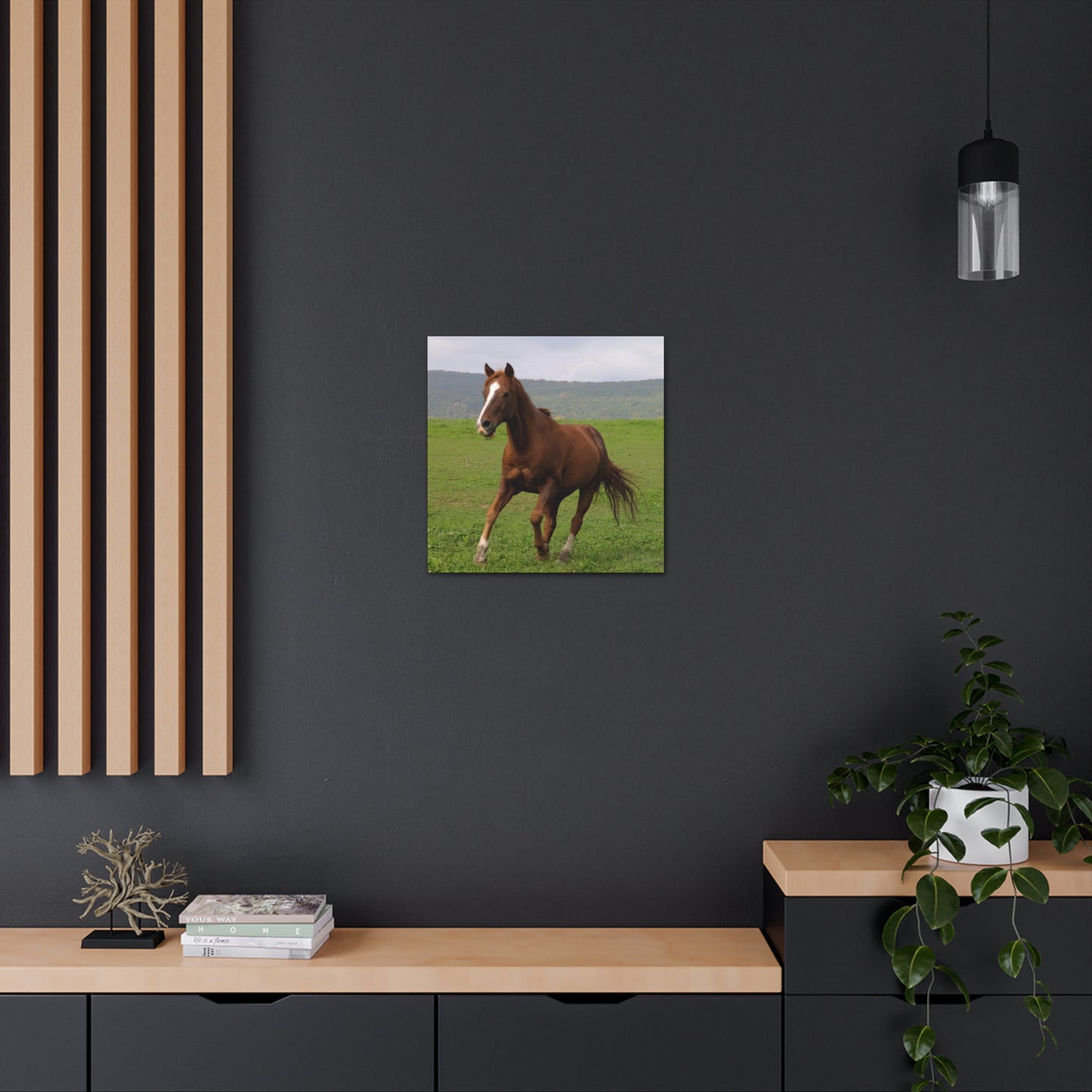 Canvas Gallery Wrap - Redwood - Photo