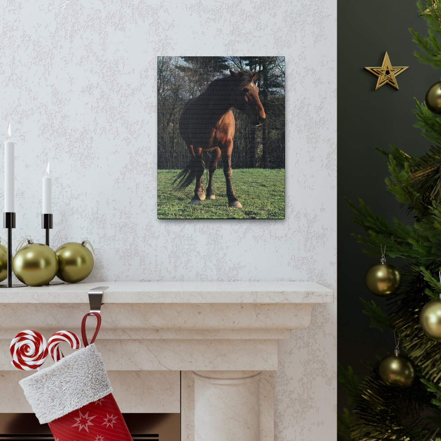 Canvas Gallery Wrap - Kiowa - Photo