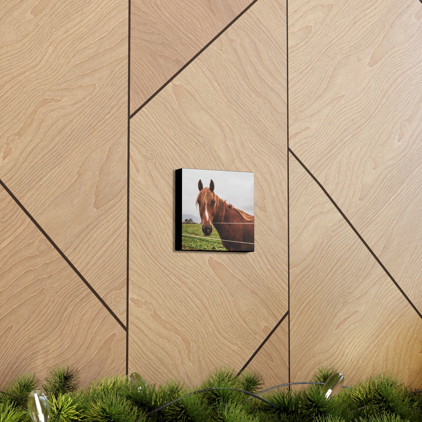 Canvas Gallery Wrap - Takota - Photo