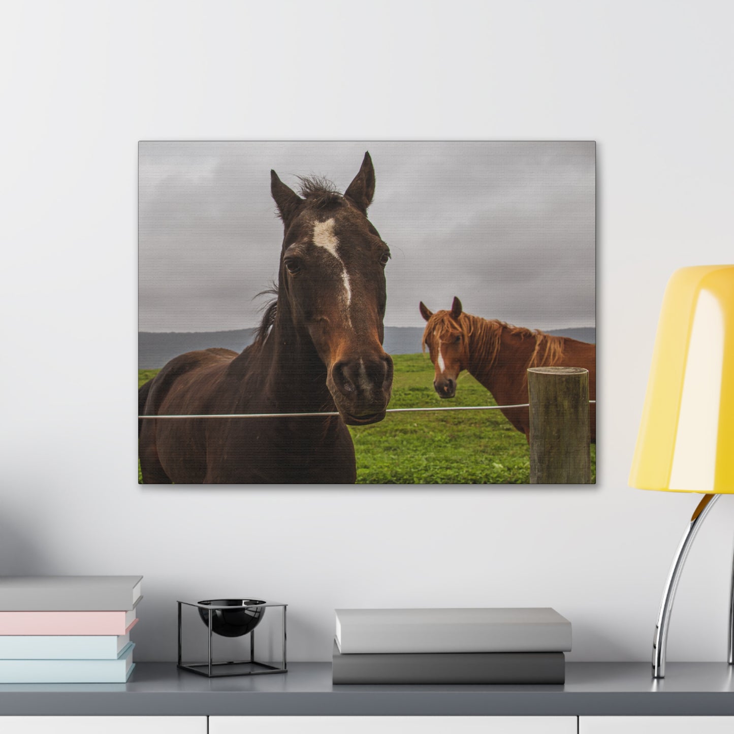 Canvas Gallery Wrap - Denali and Takota - Photo