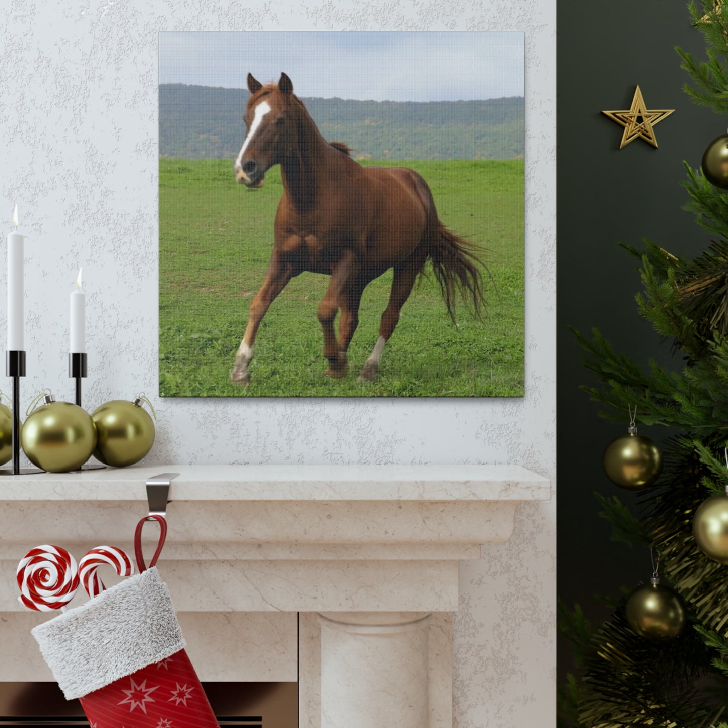 Canvas Gallery Wrap - Redwood - Photo