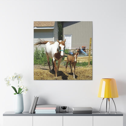 Canvas Gallery Wrap - Takota and Mommy - Photo
