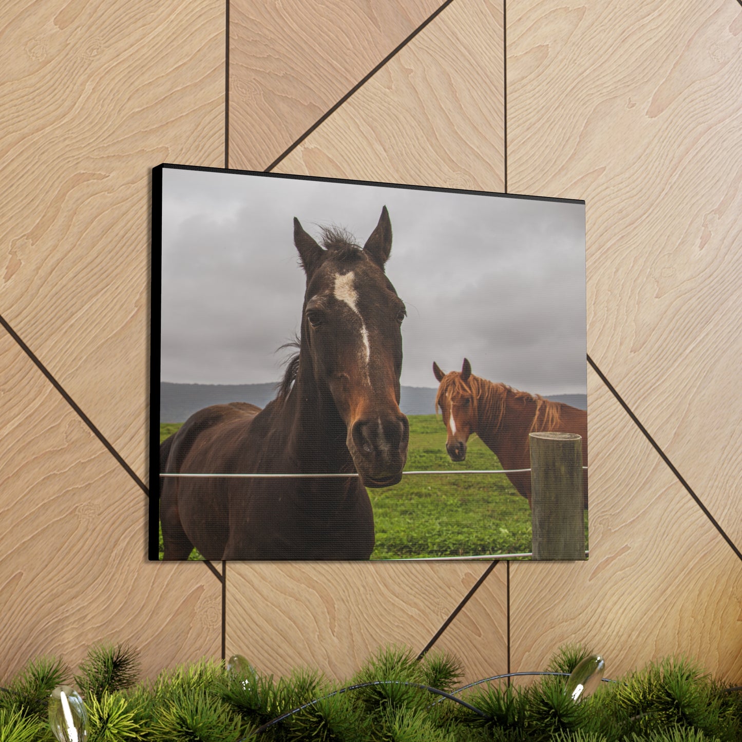 Canvas Gallery Wrap - Denali and Takota - Photo