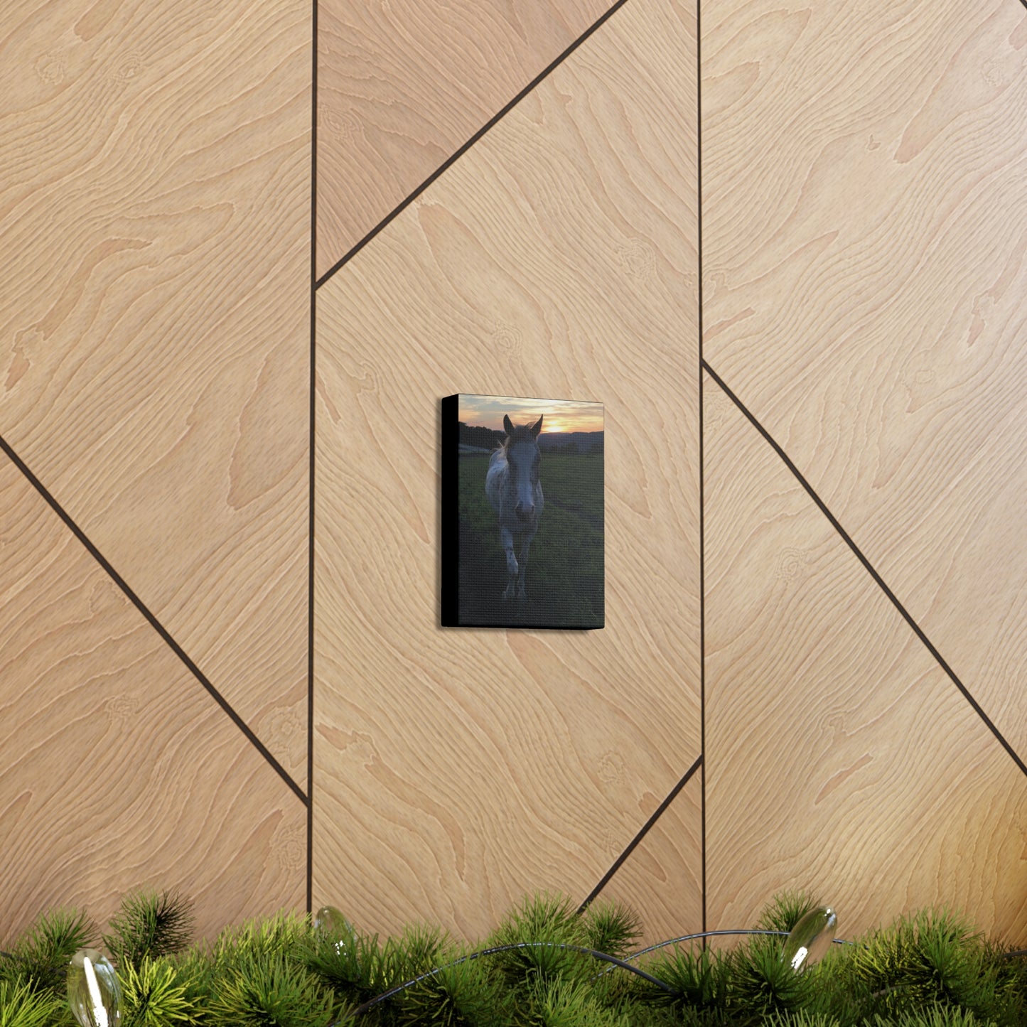Canvas Gallery Wrap - Cochise - Photo