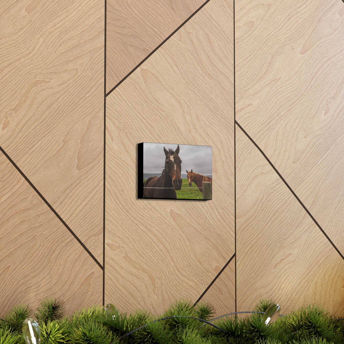 Canvas Gallery Wrap - Denali and Takota - Photo