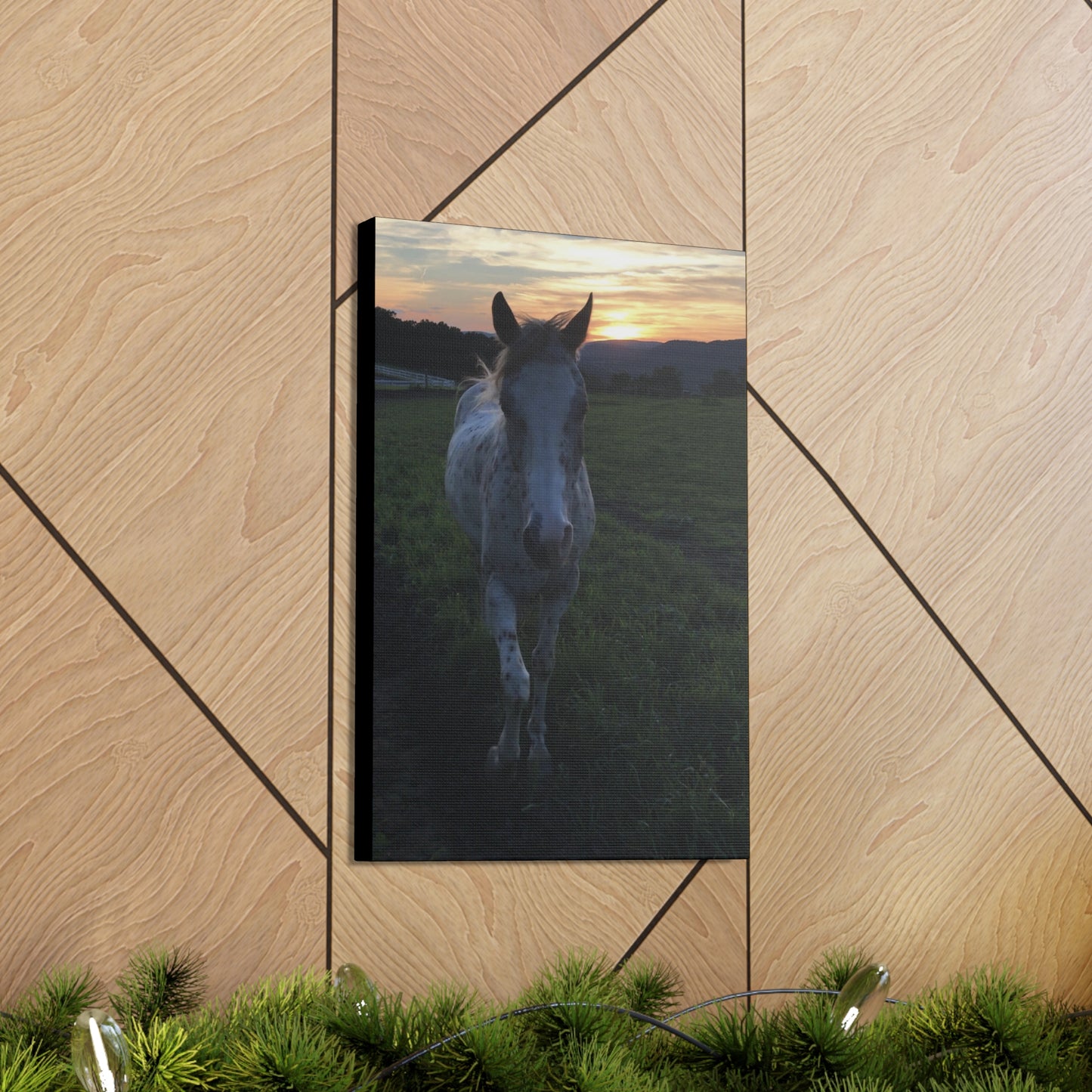 Canvas Gallery Wrap - Cochise - Photo