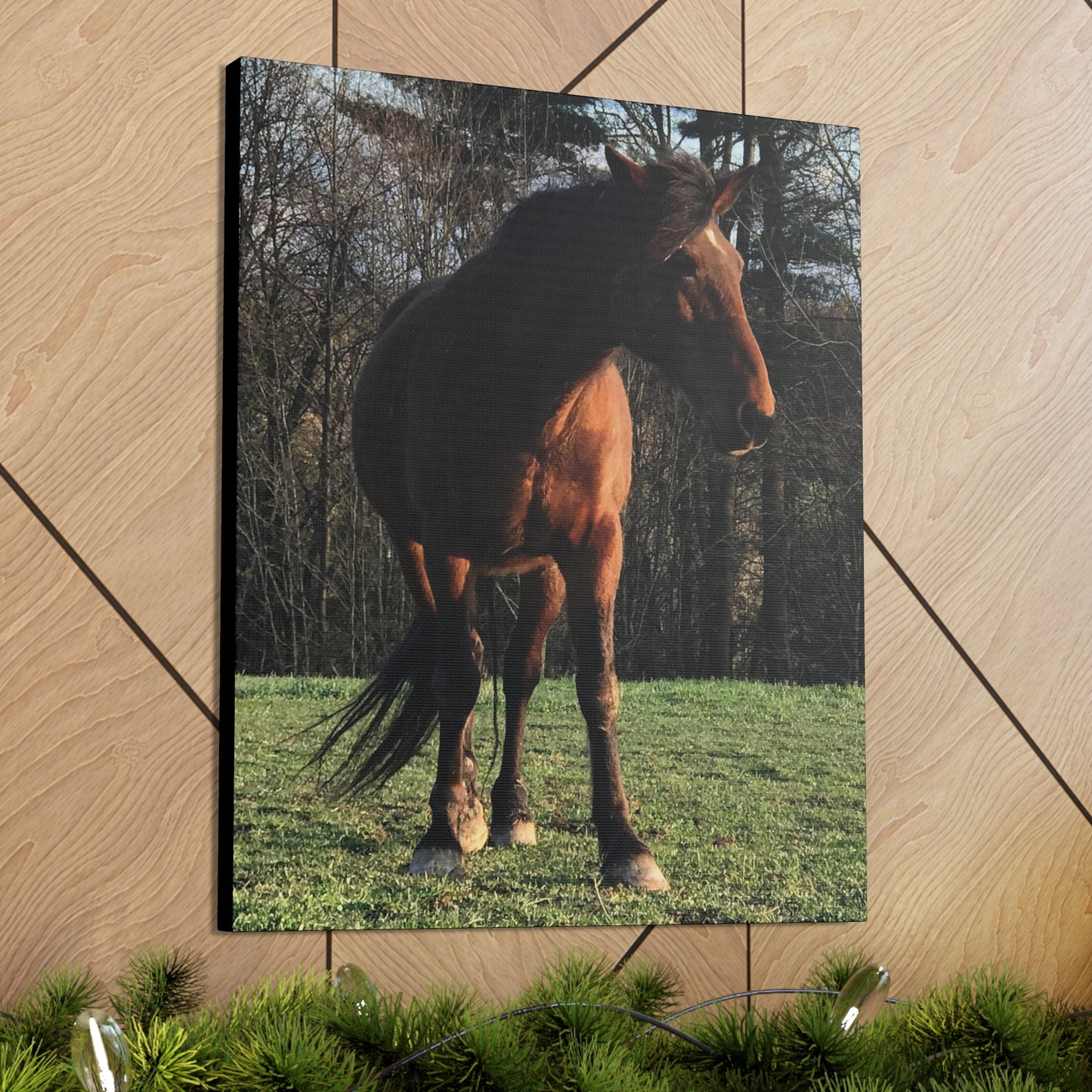 Canvas Gallery Wrap - Kiowa - Photo