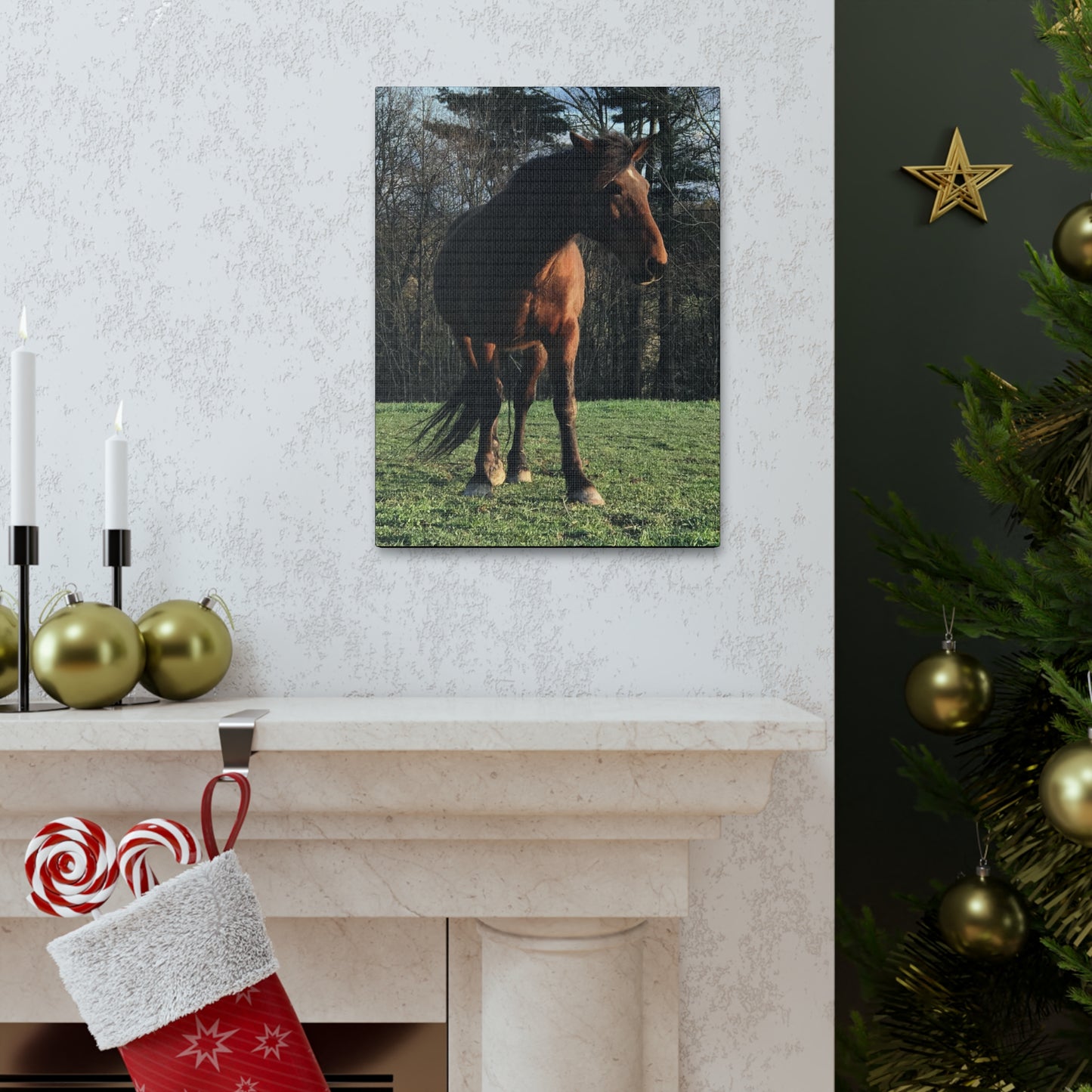 Canvas Gallery Wrap - Kiowa - Photo