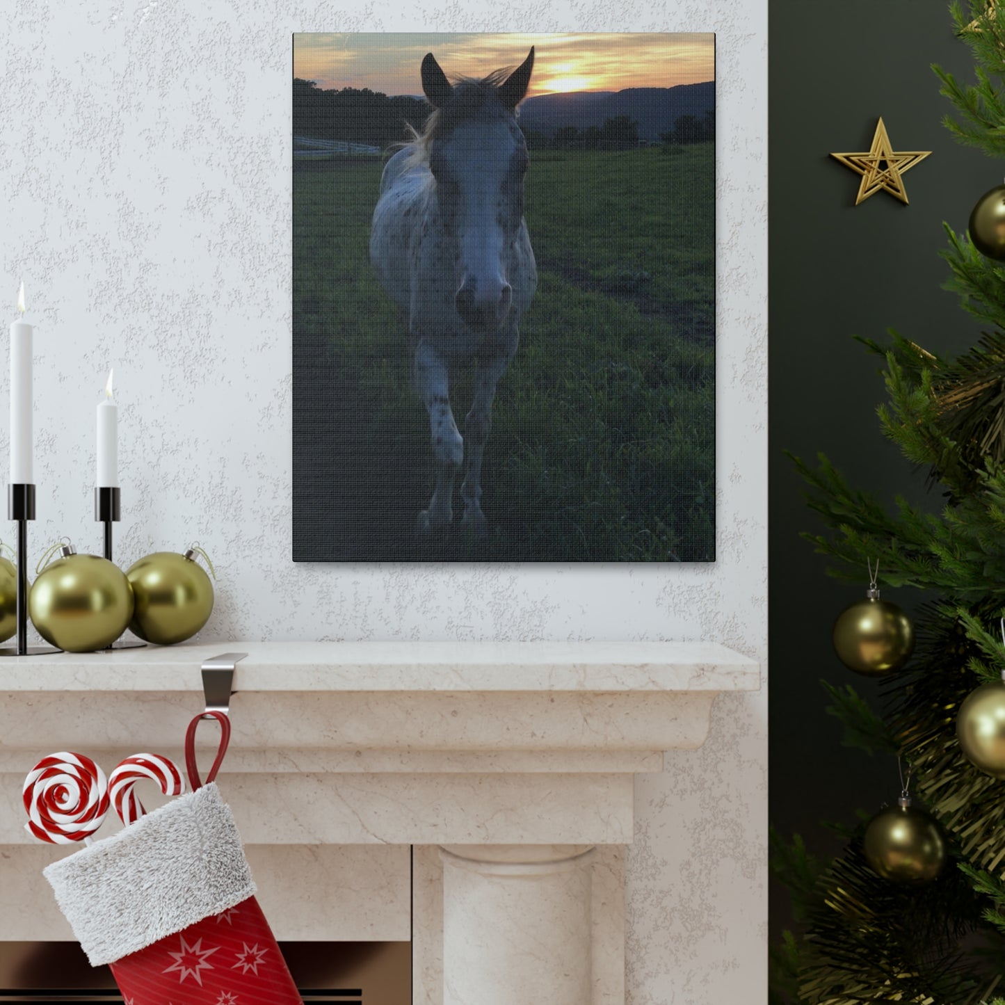 Canvas Gallery Wrap - Cochise - Photo
