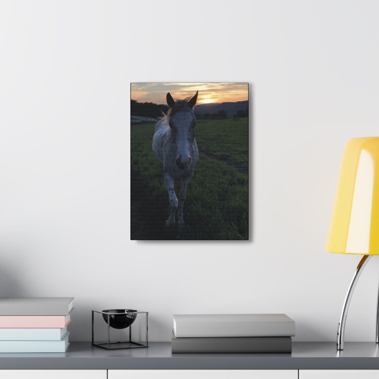 Canvas Gallery Wrap - Cochise - Photo