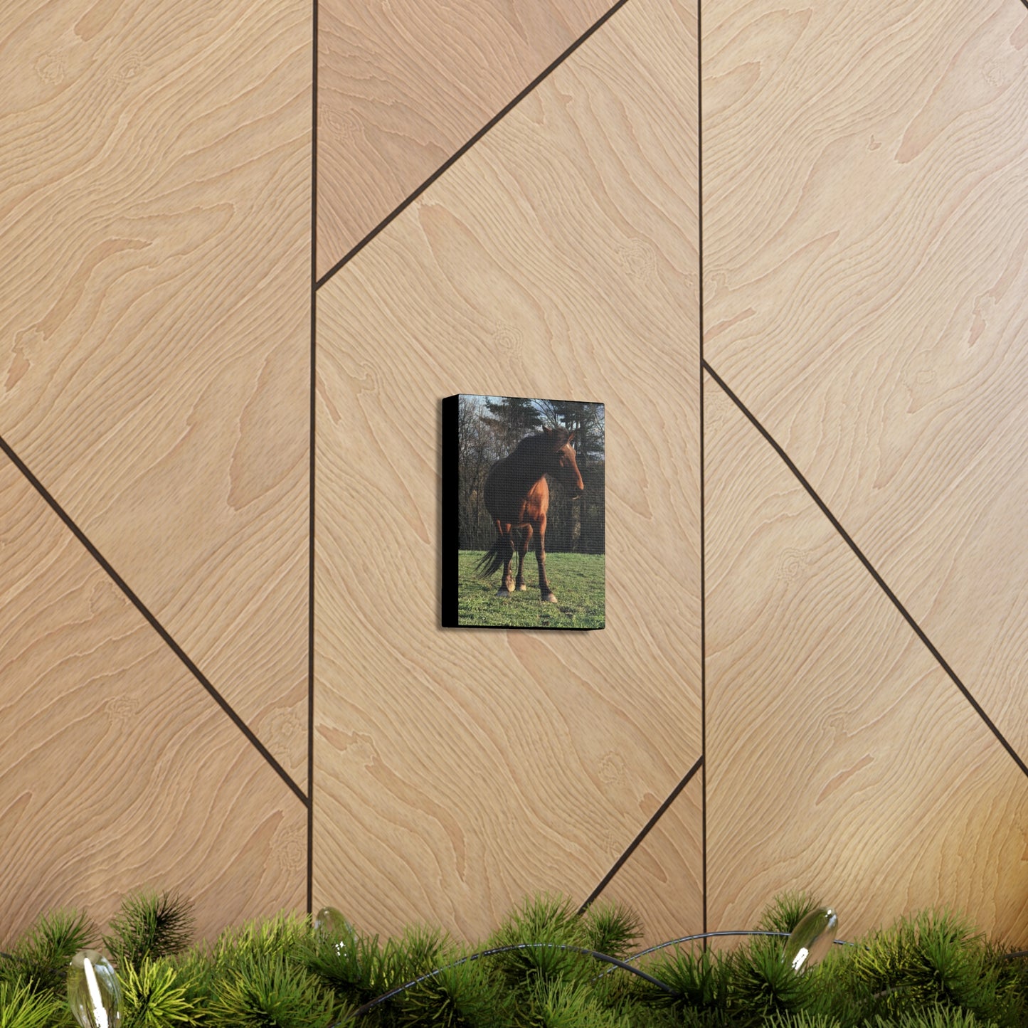 Canvas Gallery Wrap - Kiowa - Photo