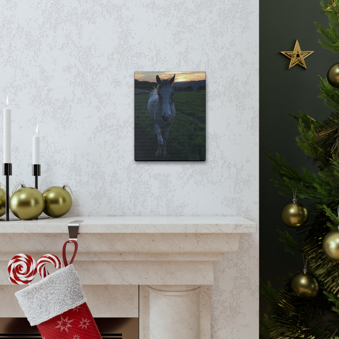 Canvas Gallery Wrap - Cochise - Photo