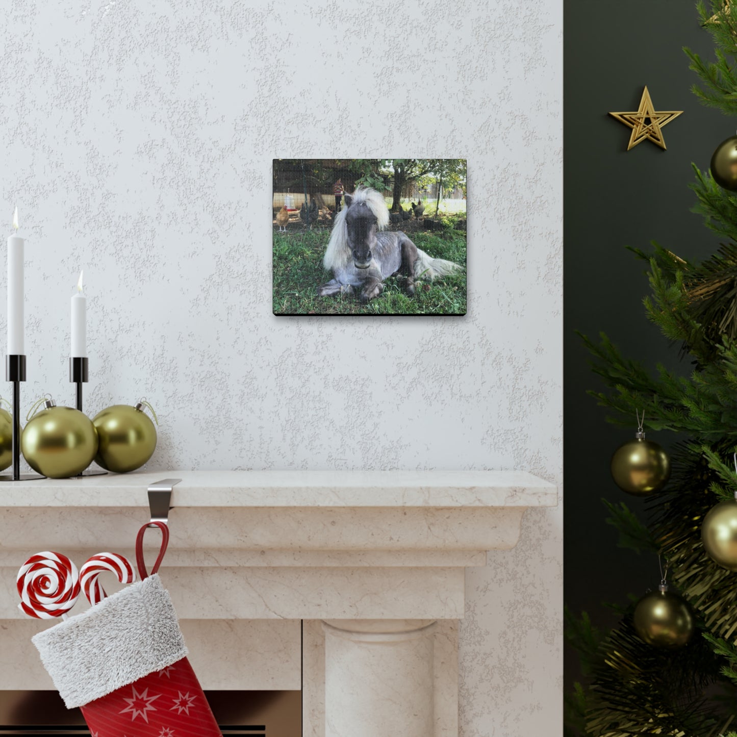 Canvas Gallery Wrap - Buttons - Photo