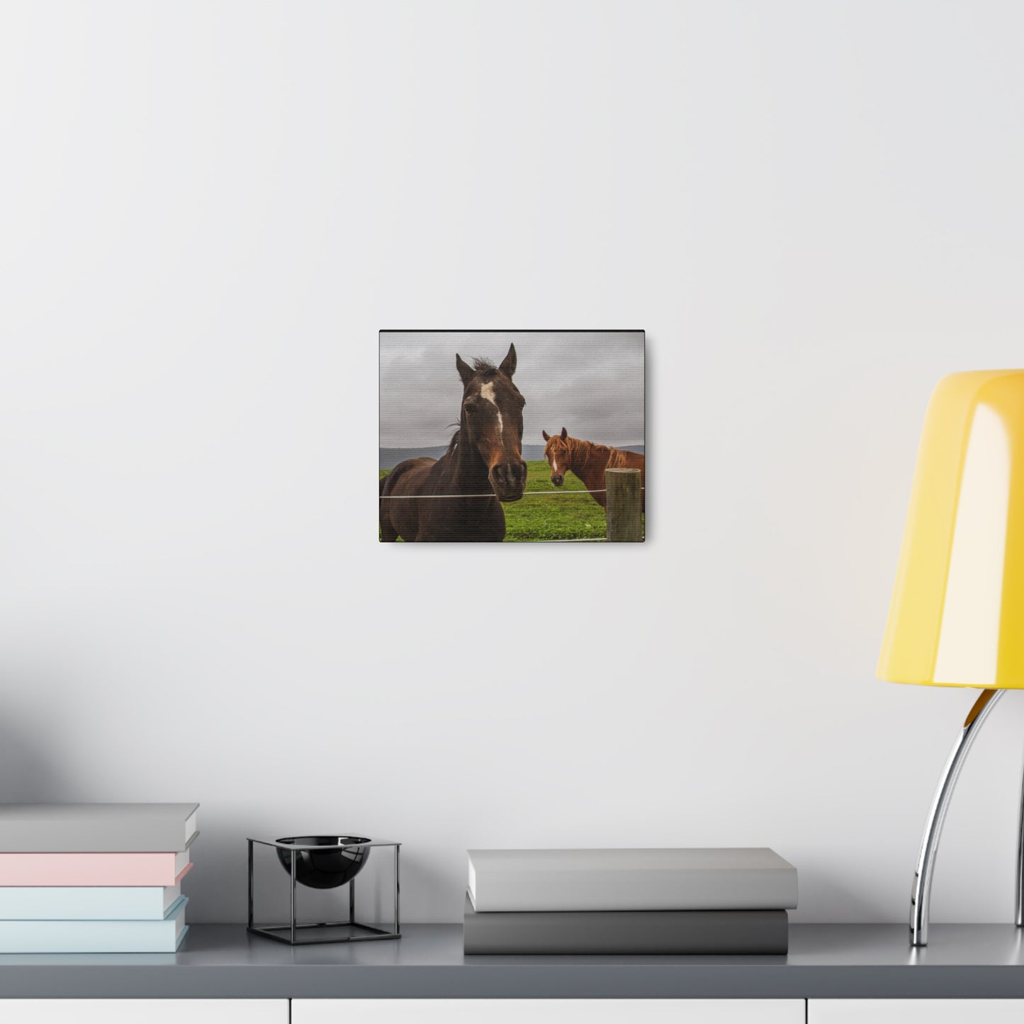 Canvas Gallery Wrap - Denali and Takota - Photo