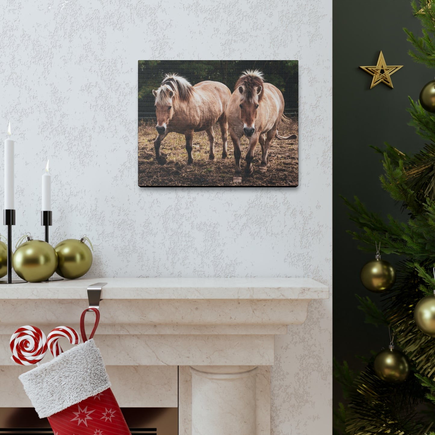 Canvas Gallery Wrap - Cody and Cheyenne - Photo