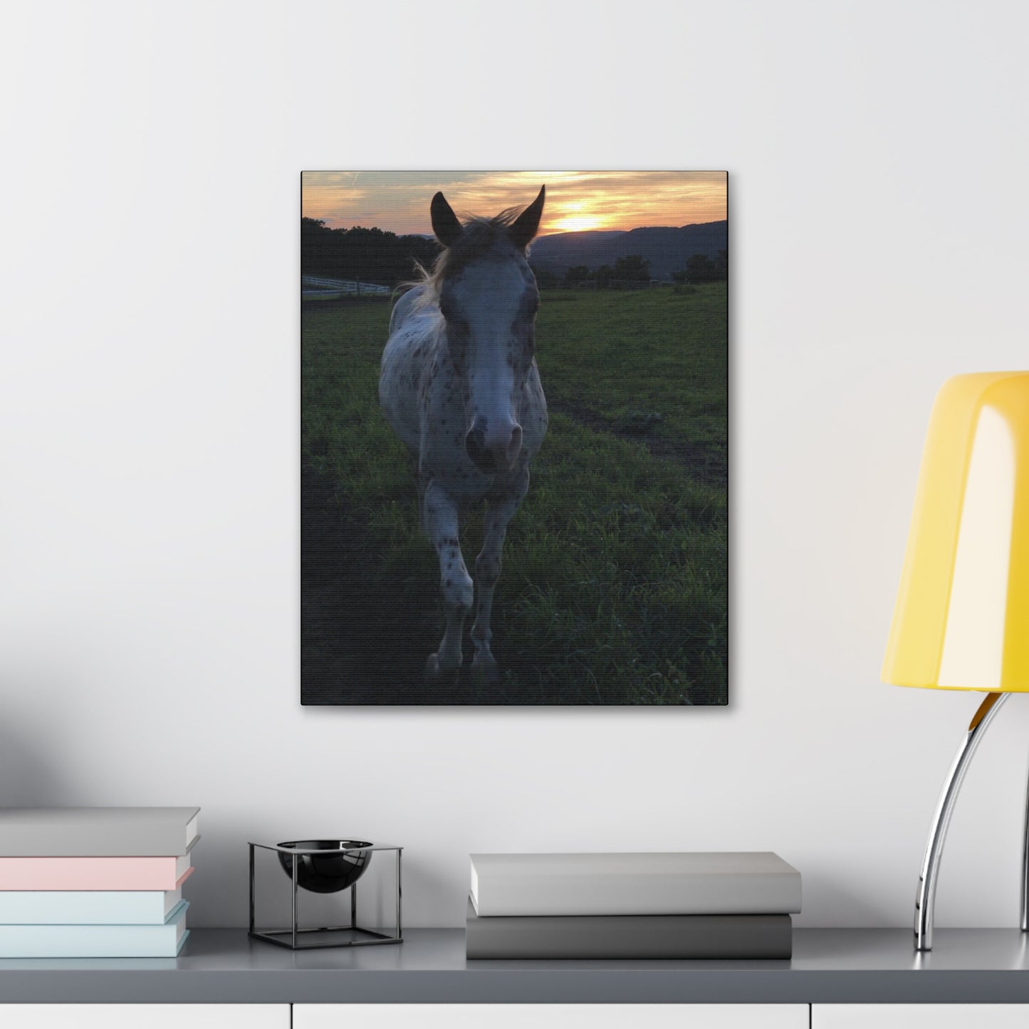Canvas Gallery Wrap - Cochise - Photo