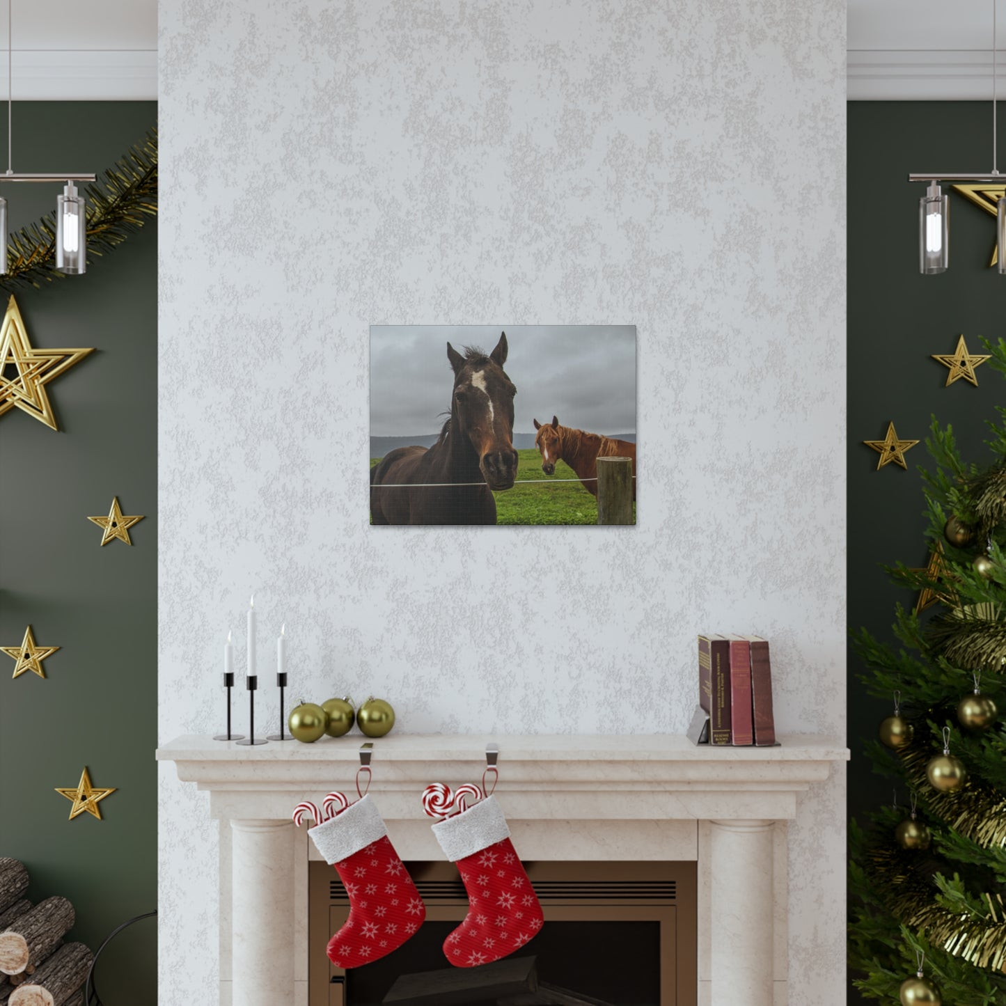 Canvas Gallery Wrap - Denali and Takota - Photo