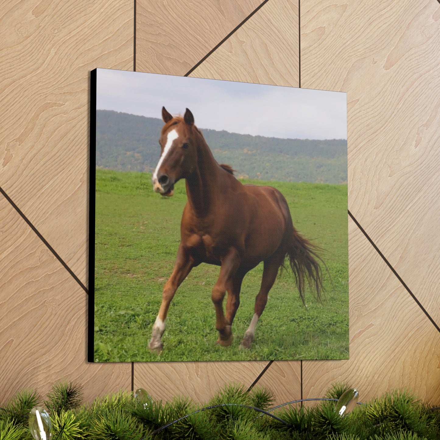 Canvas Gallery Wrap - Redwood - Photo