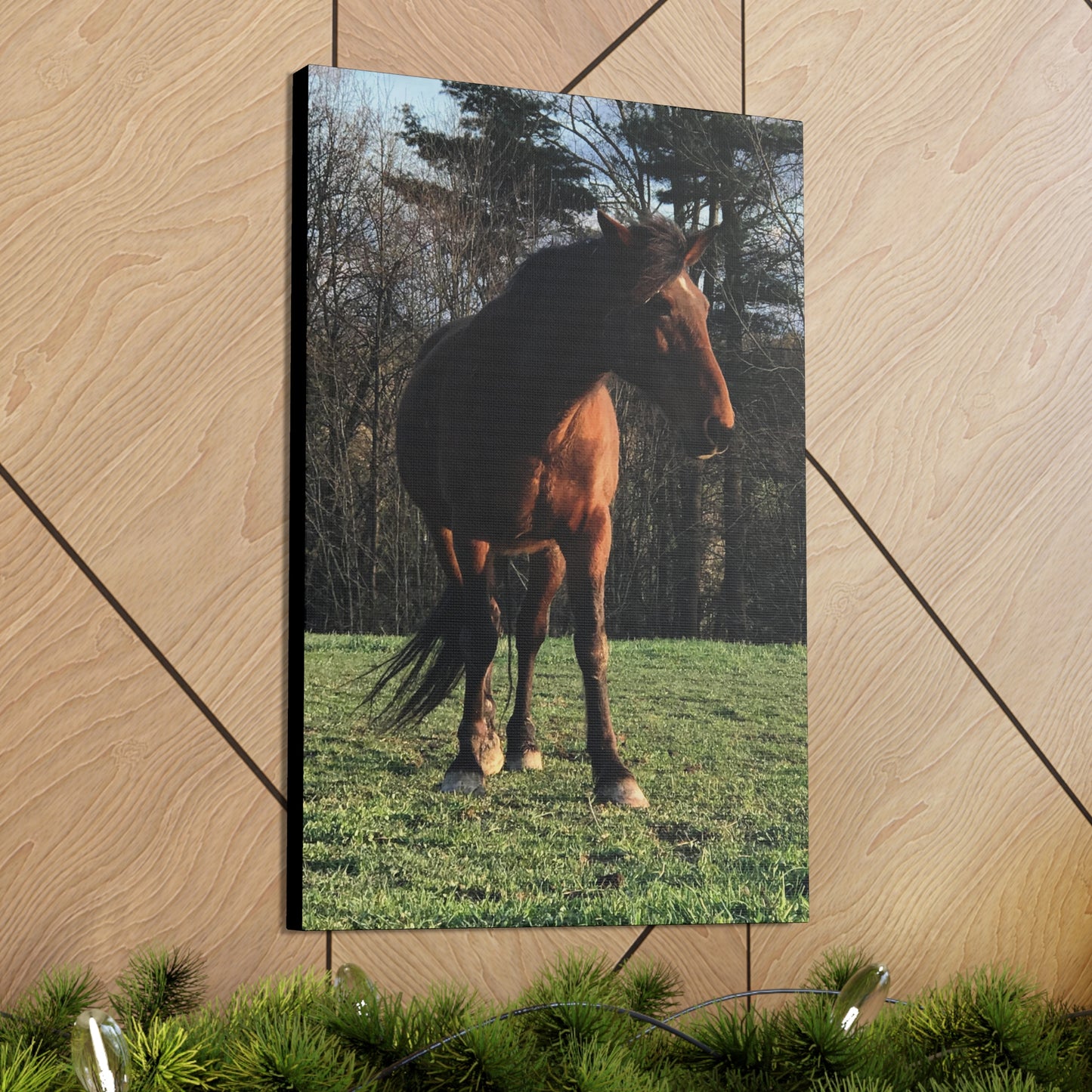 Canvas Gallery Wrap - Kiowa - Photo