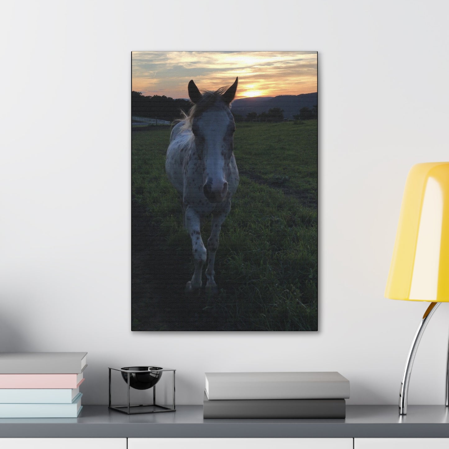 Canvas Gallery Wrap - Cochise - Photo