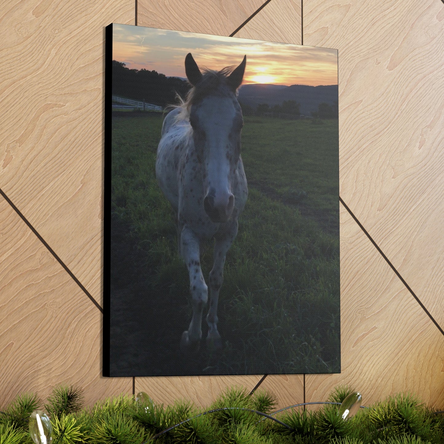 Canvas Gallery Wrap - Cochise - Photo