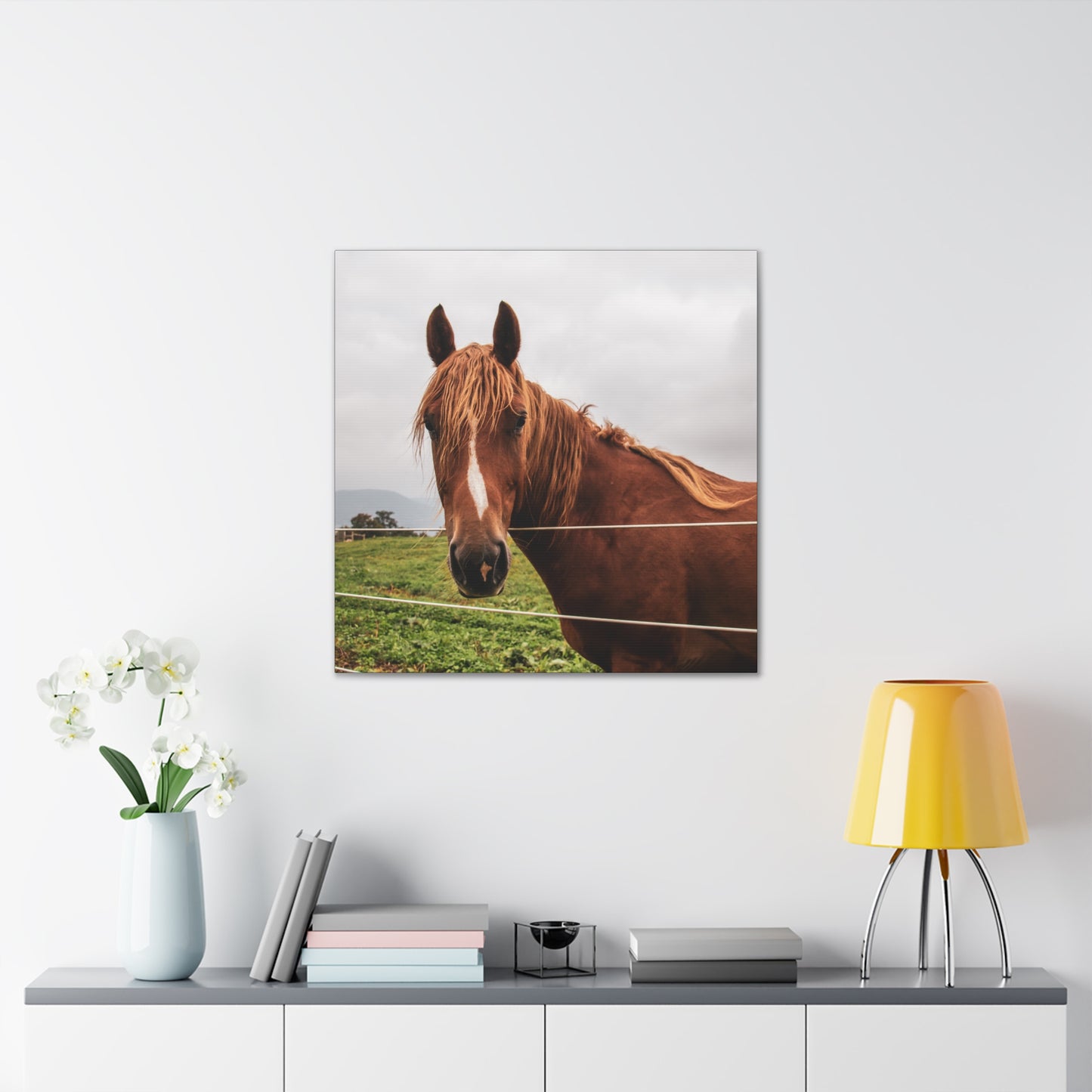 Canvas Gallery Wrap - Takota - Photo