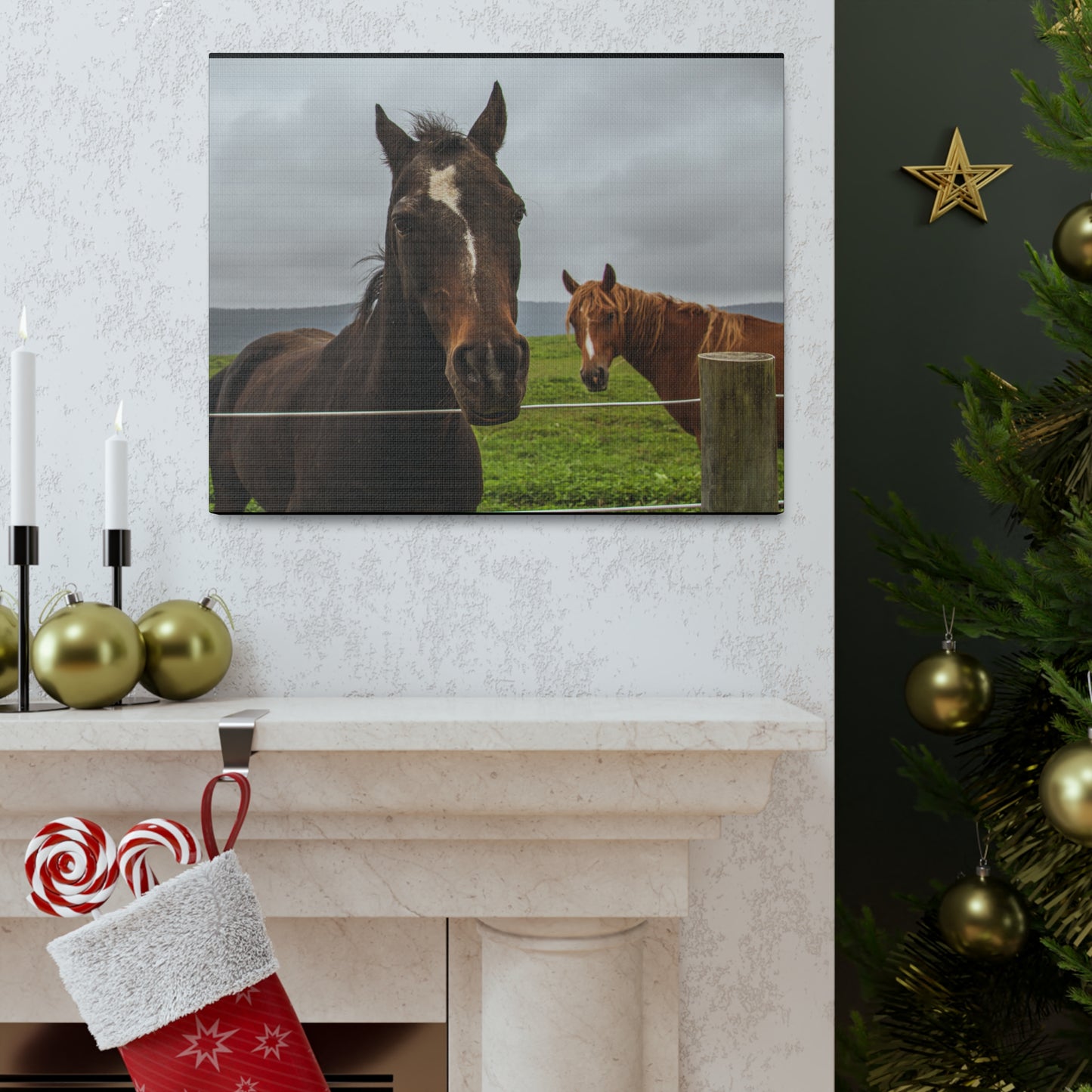Canvas Gallery Wrap - Denali and Takota - Photo