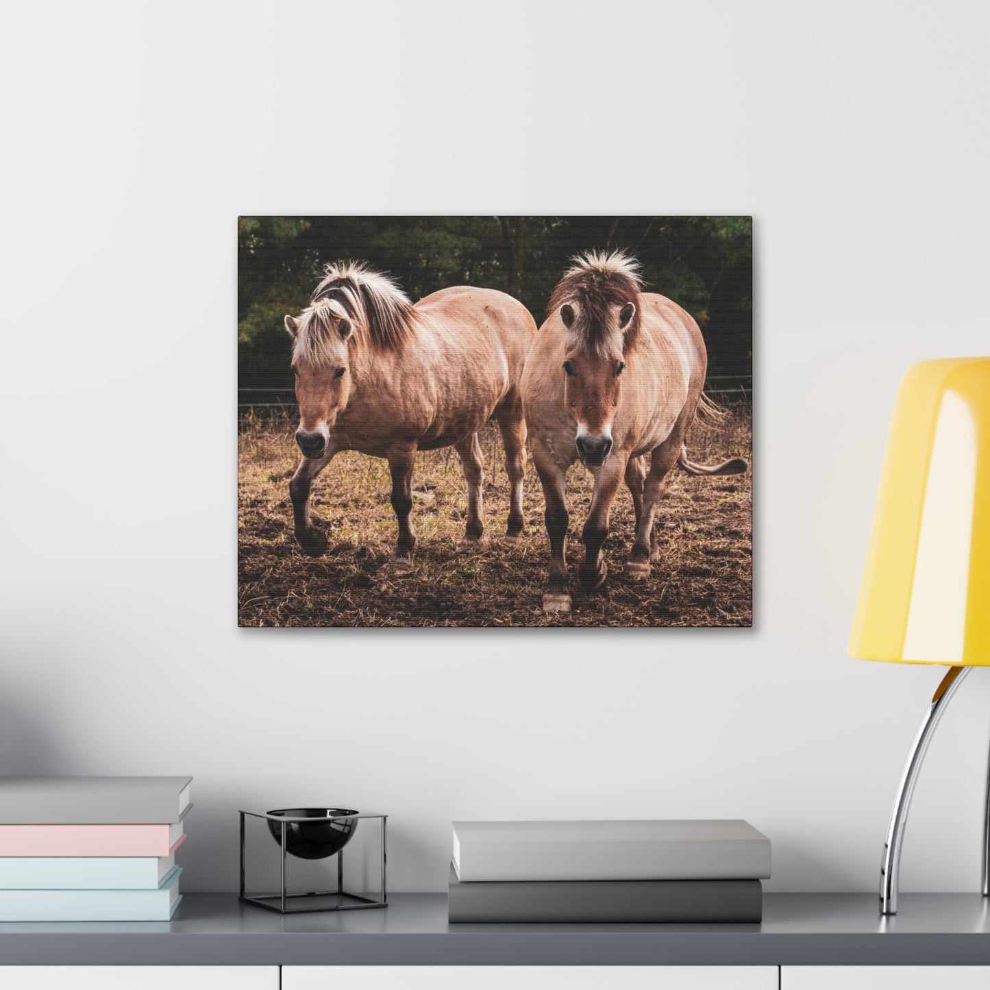 Canvas Gallery Wrap - Cody and Cheyenne - Photo