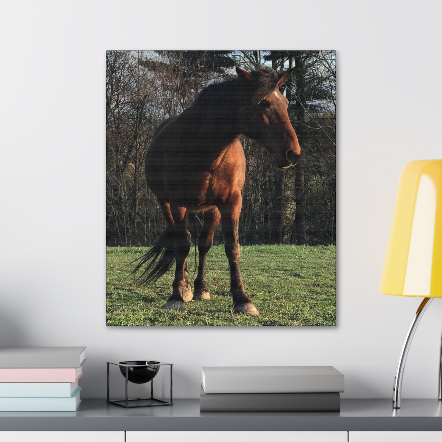 Canvas Gallery Wrap - Kiowa - Photo
