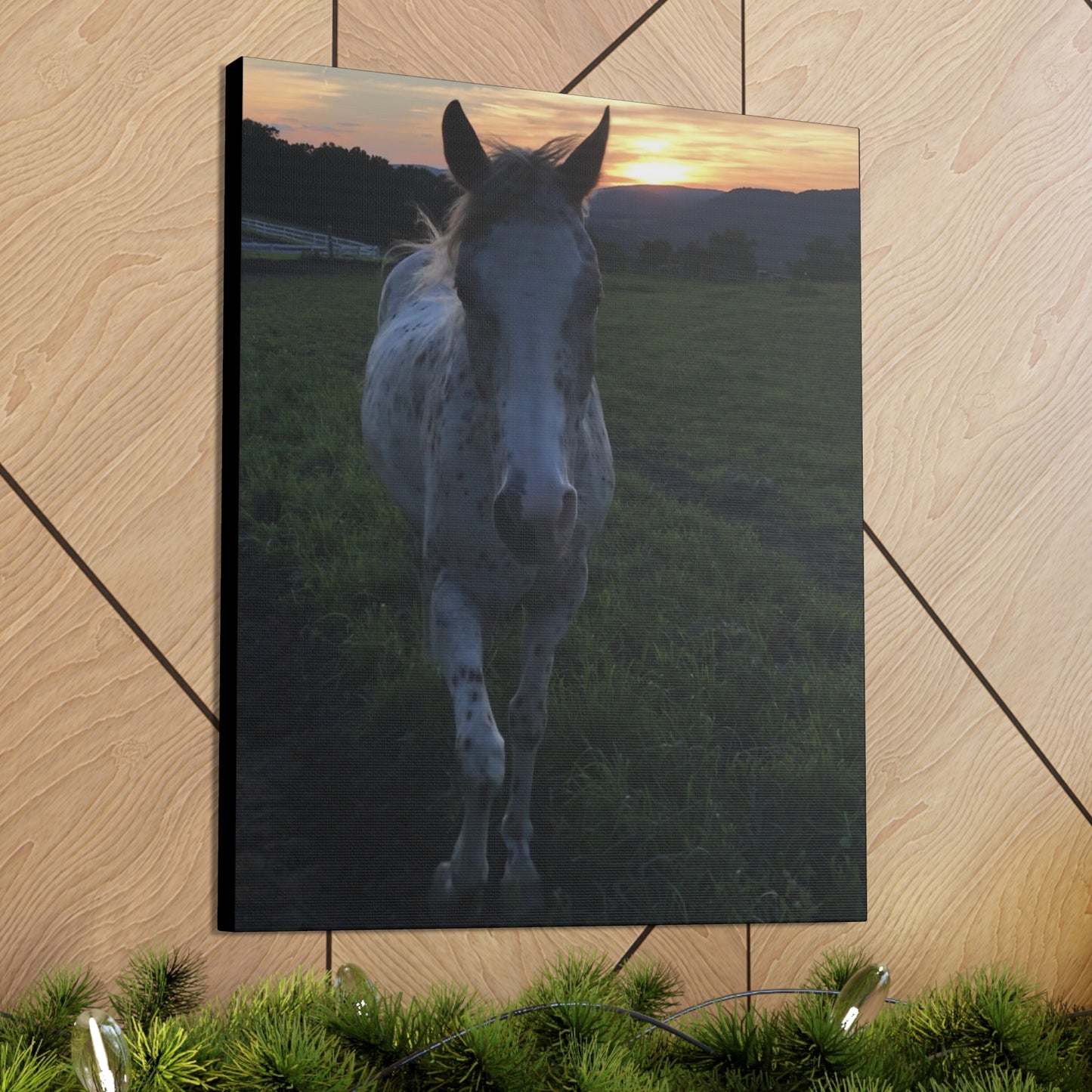 Canvas Gallery Wrap - Cochise - Photo