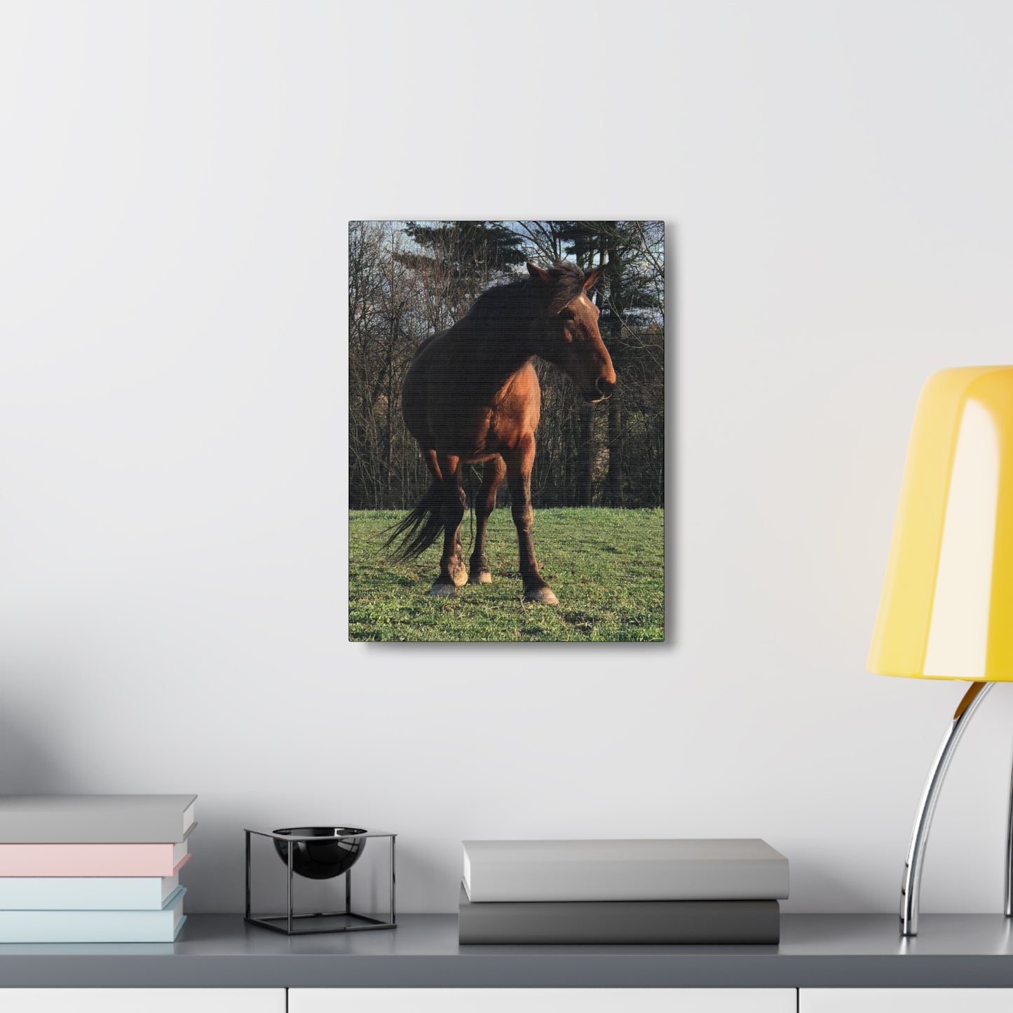 Canvas Gallery Wrap - Kiowa - Photo