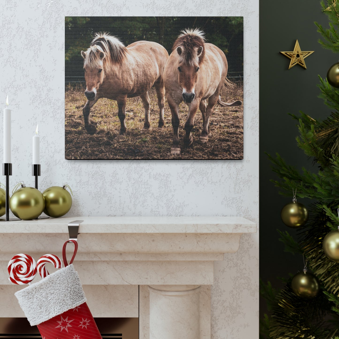 Canvas Gallery Wrap - Cody and Cheyenne - Photo