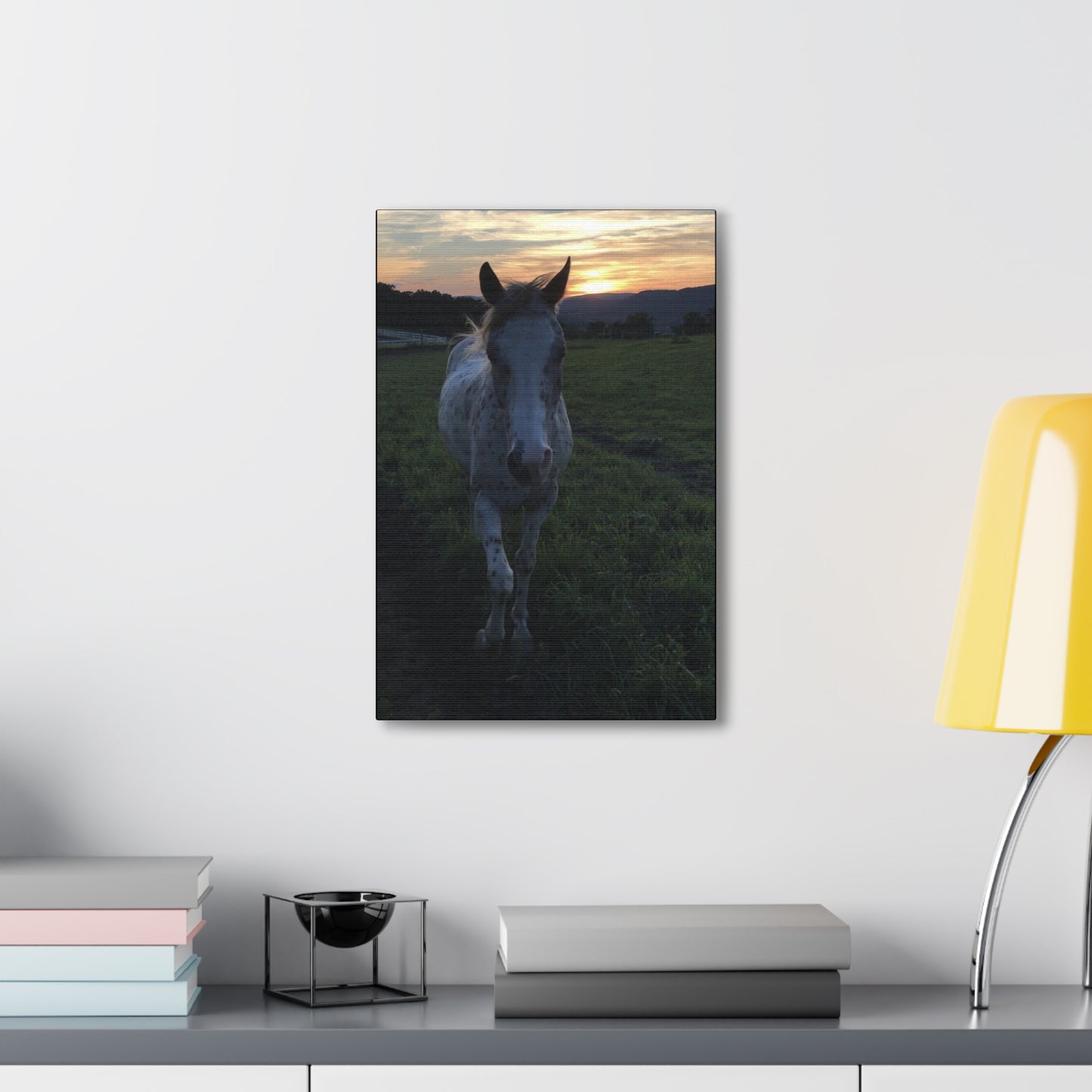 Canvas Gallery Wrap - Cochise - Photo