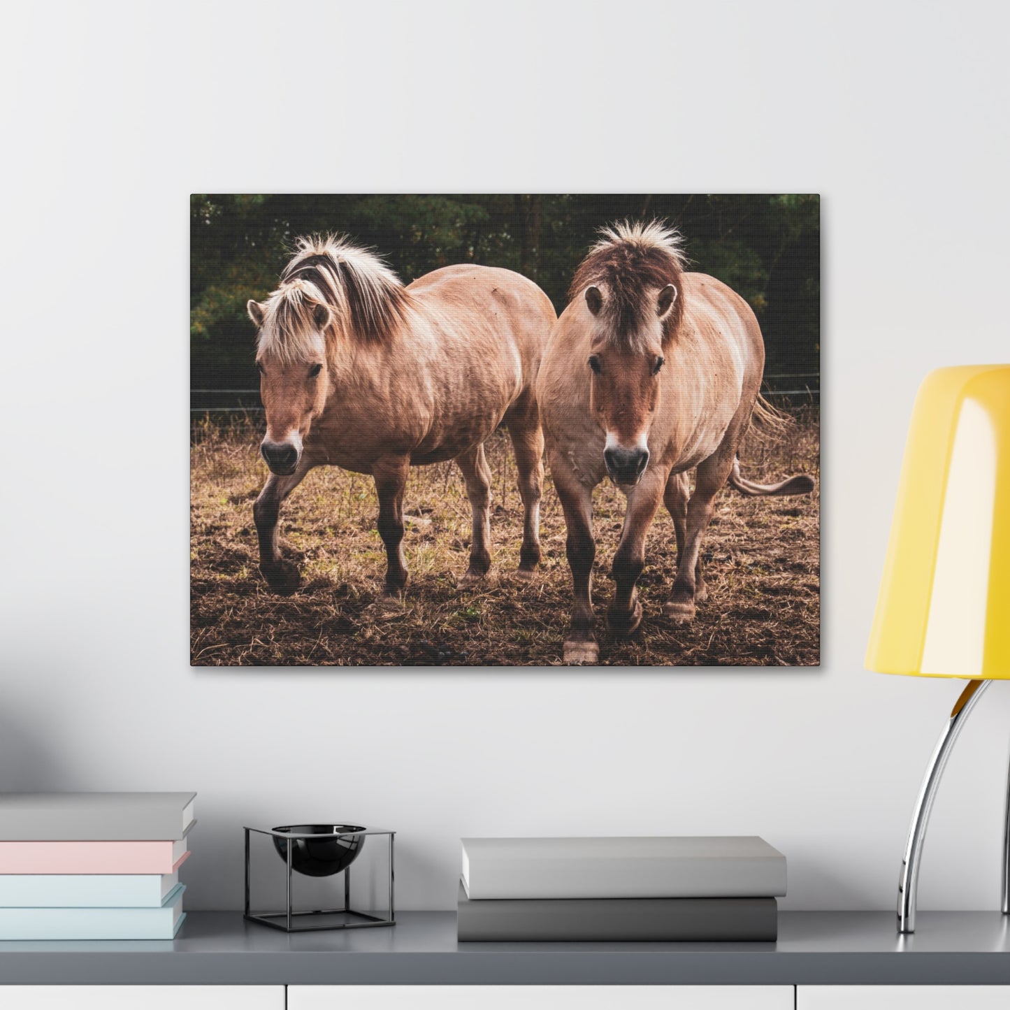 Canvas Gallery Wrap - Cody and Cheyenne - Photo