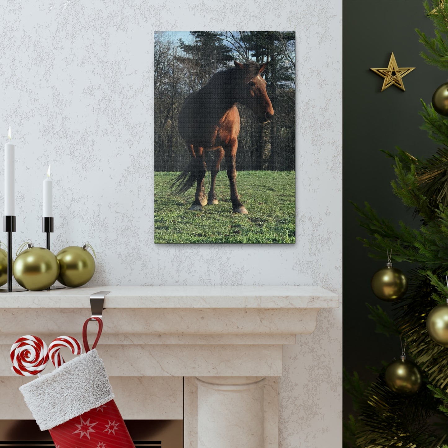 Canvas Gallery Wrap - Kiowa - Photo